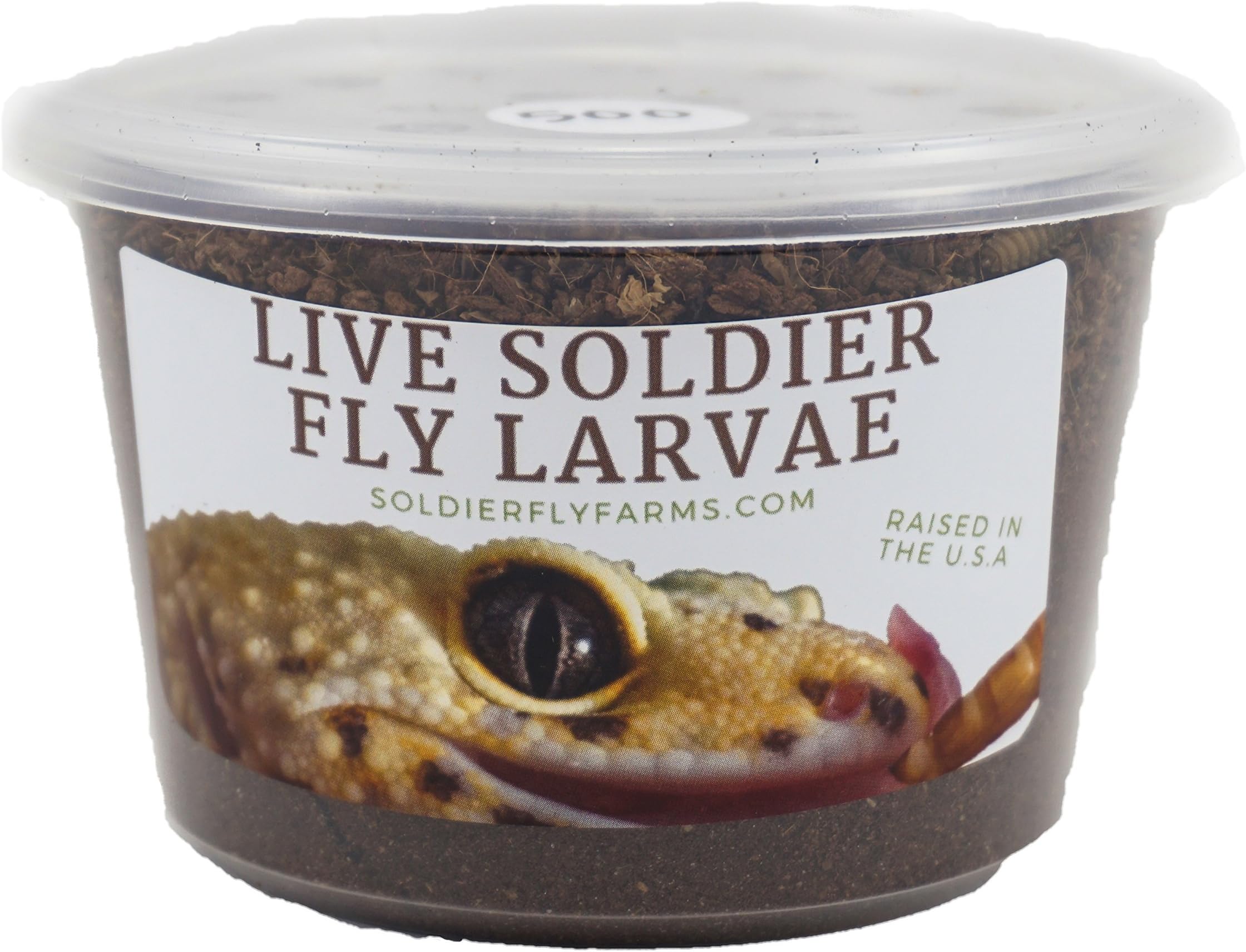 Live Black Soldier Fly Larvae - 500 Large