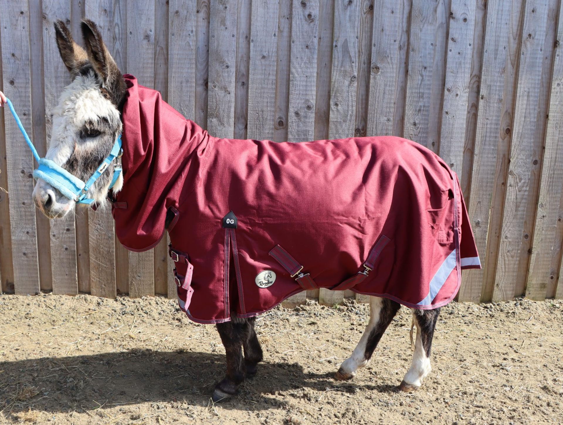 Ruggles No Fill Lightweight Combo Turnout Rug for Shetland Donkey Section A Miniature Horse | 1200D Teflon Coated Outer | Perfect for Warmer Showery Days (2' 9" - 4' 9") (Burgundy, 3' 6")
