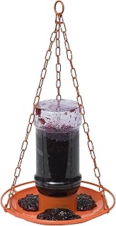 Perky-Pet 253 Oriole Jelly Wild Bird Feeder - coolthings.us