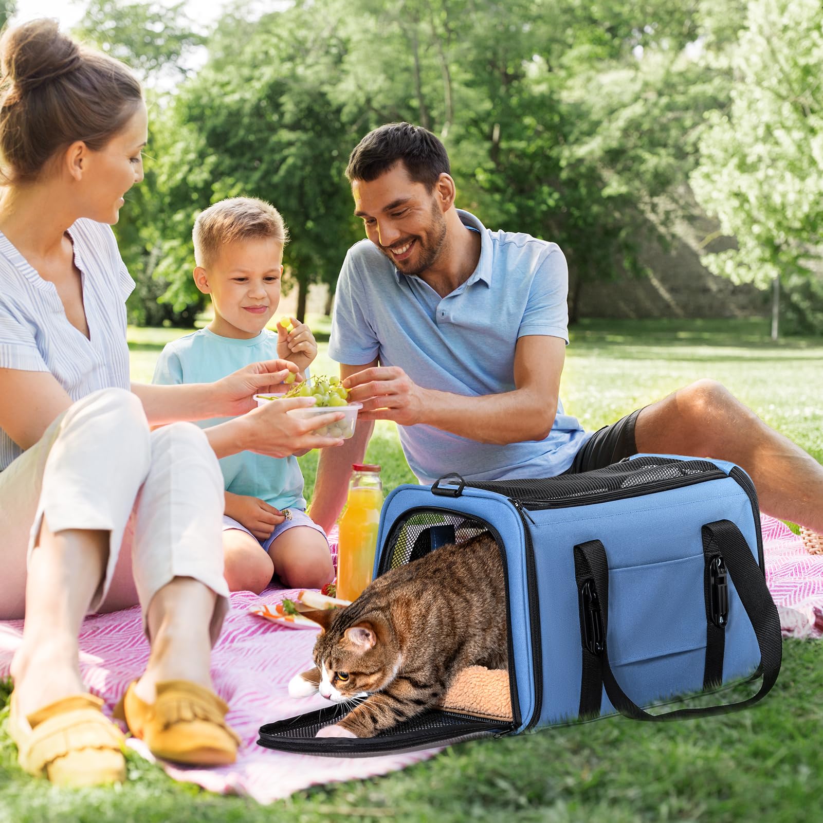 Petsfit Transportbox Katze Hundebox Auto Katzentransportbox Transportbox Hund - Faltbare Tragetasche mit 2 Patent-Schnallen für Autositz, 4-seitigem Netz & Abnehmbarem Kissen, M/Blau