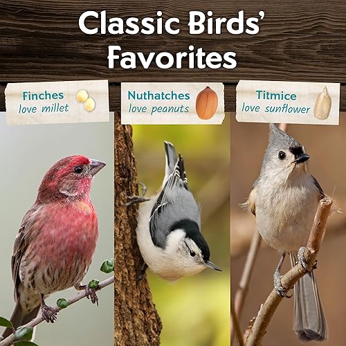 Miniatura 16 de Mañana canción limpio y libre