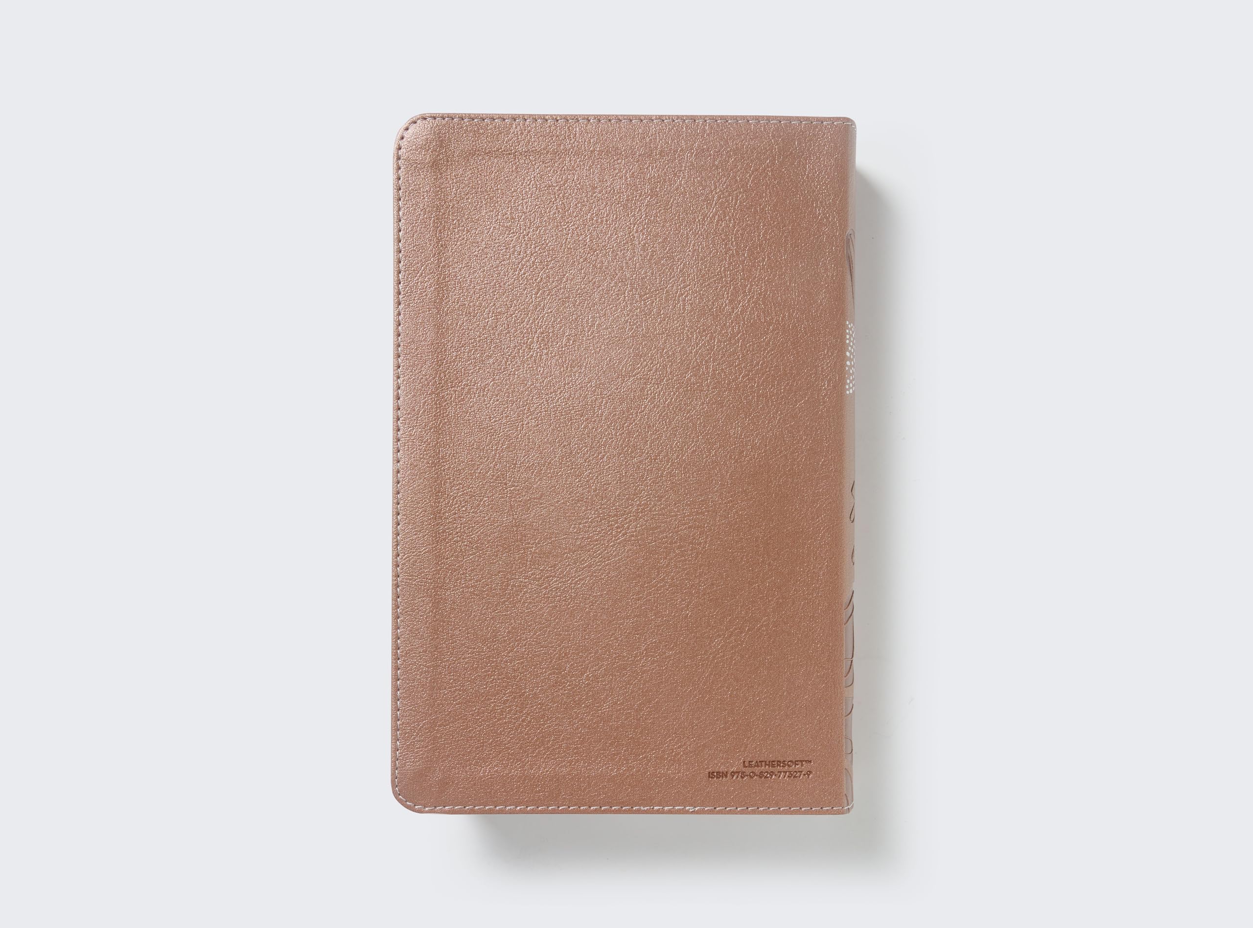 Biblia de estudio para jovenes: Reina-Valera 1960, Estudio para jóvenes, Oro Rosa, Leathersoft, Comfort Print