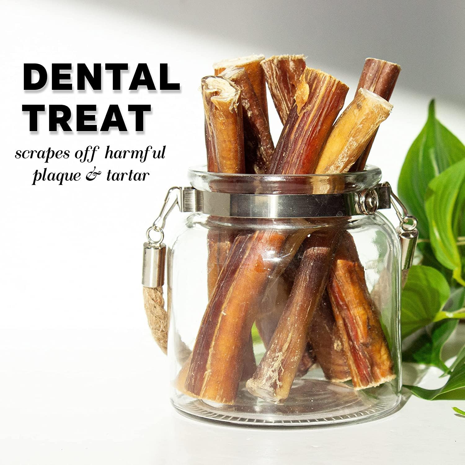 Bully Sticks for Dogs 6-Inch, 50 Count Ultra Thin Bully Sticks, Natural Beef Dog Chews, Low-Odor, High-Protein, Grain & Rawhide Free - Long-Lasting Beef DogTreats for Aggressive Chewers