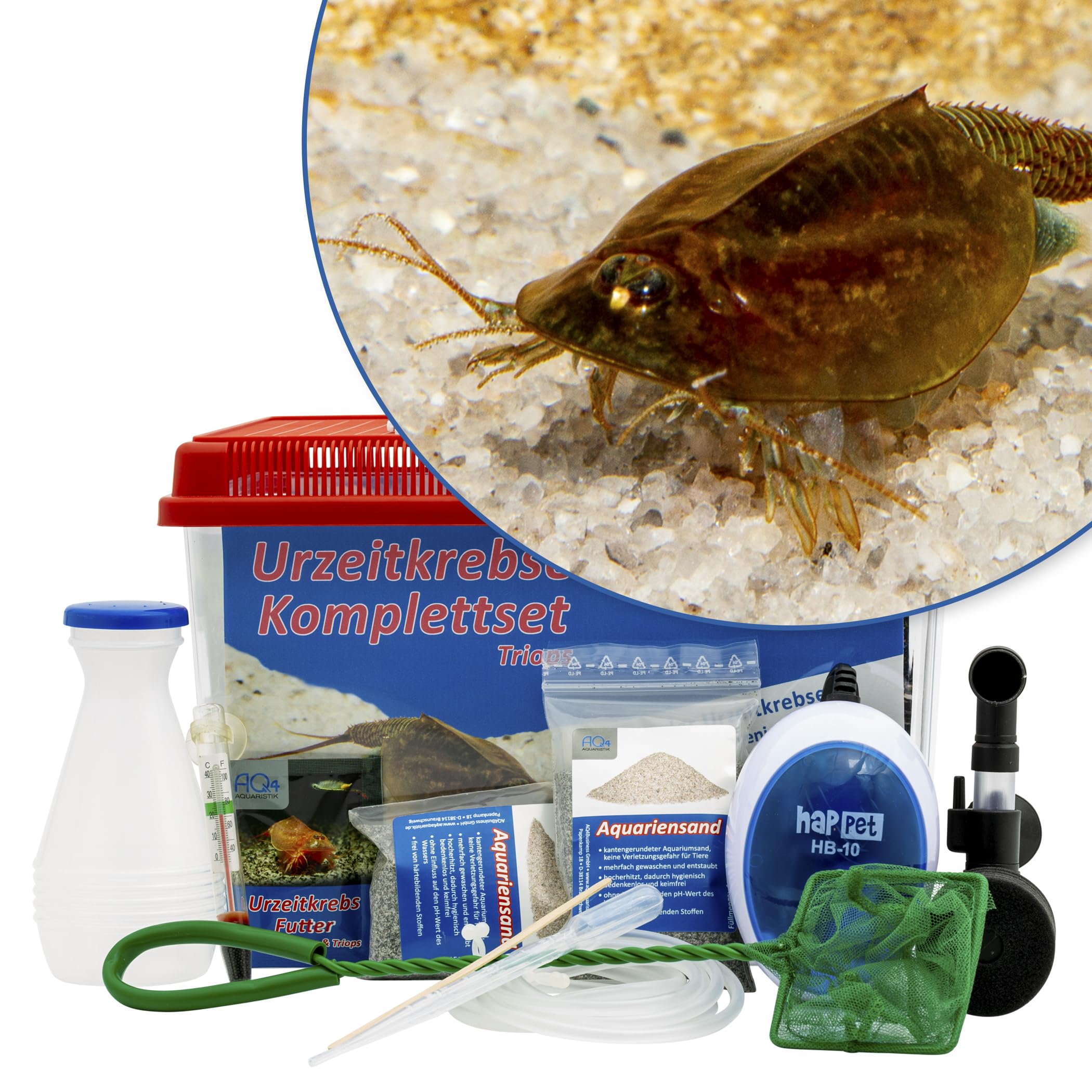 Triops cancriformis Komplettset 6 Liter: Aquarium, Filter, Luftpumpe, Zubehör, Futter