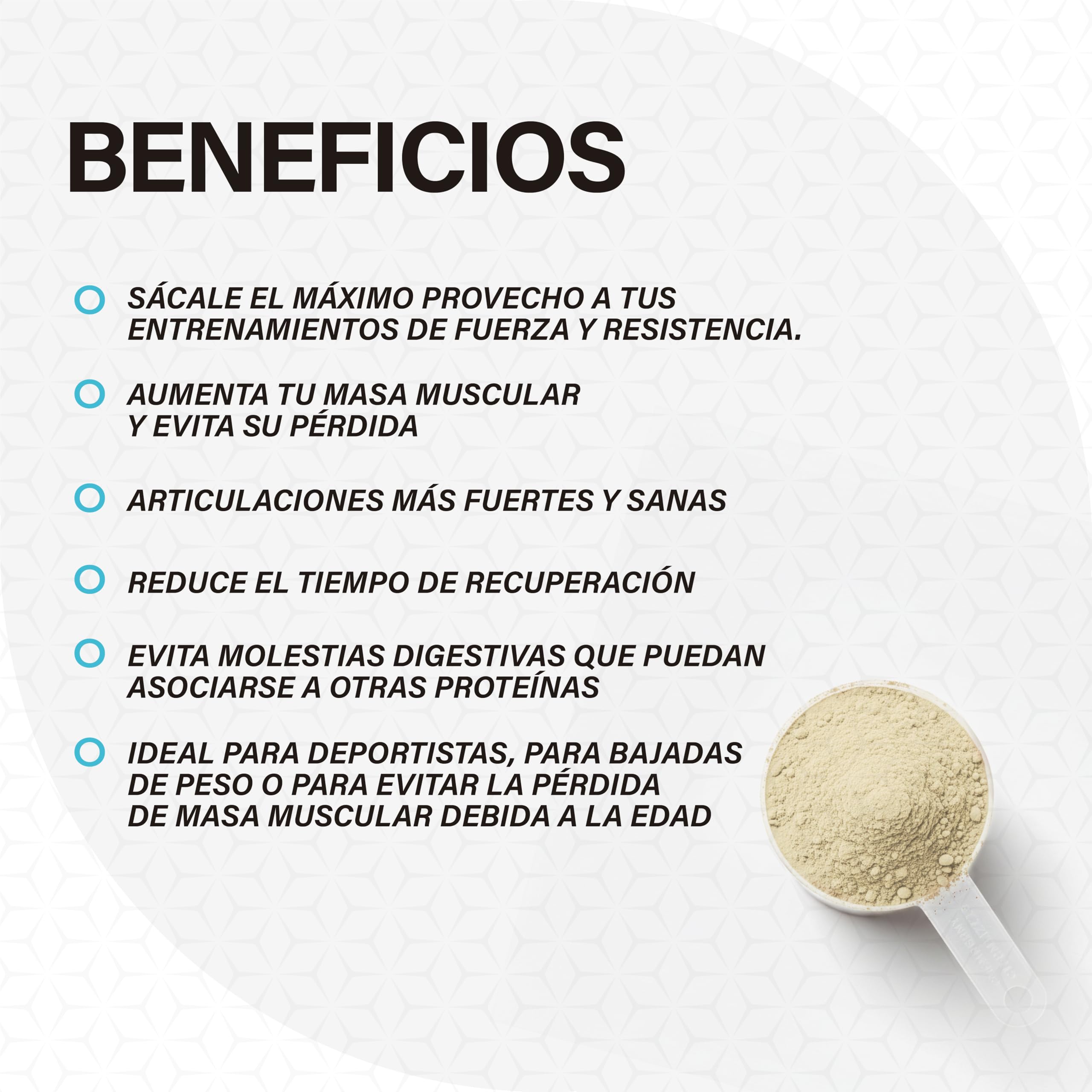 Pure Whey Isolate 84% proteína+Colágeno hidrolizado+Creatina+Glutamina Con probióticos y enzimas digestivas Baja en lactosa y azúcares Recuperación (Vainilla 900g)