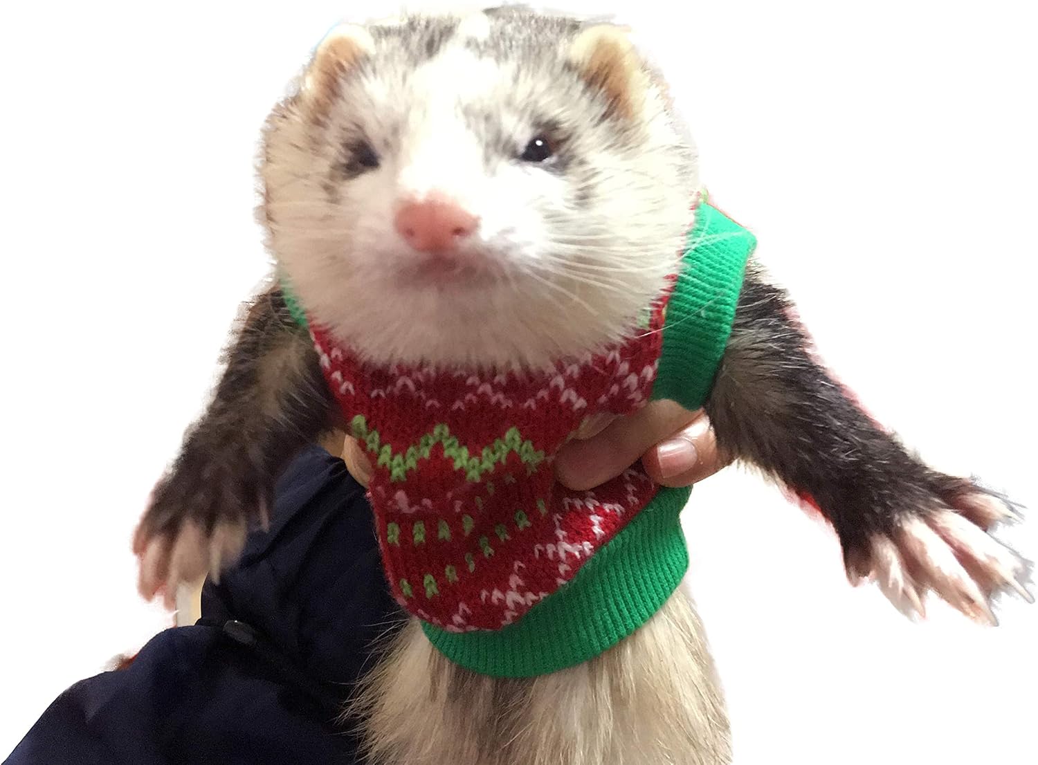 FULUE Ferret Christmas Sweater Vest Clothing，Ferret Accessories Clothes Kit Outfit for Christmas(Green-Red)