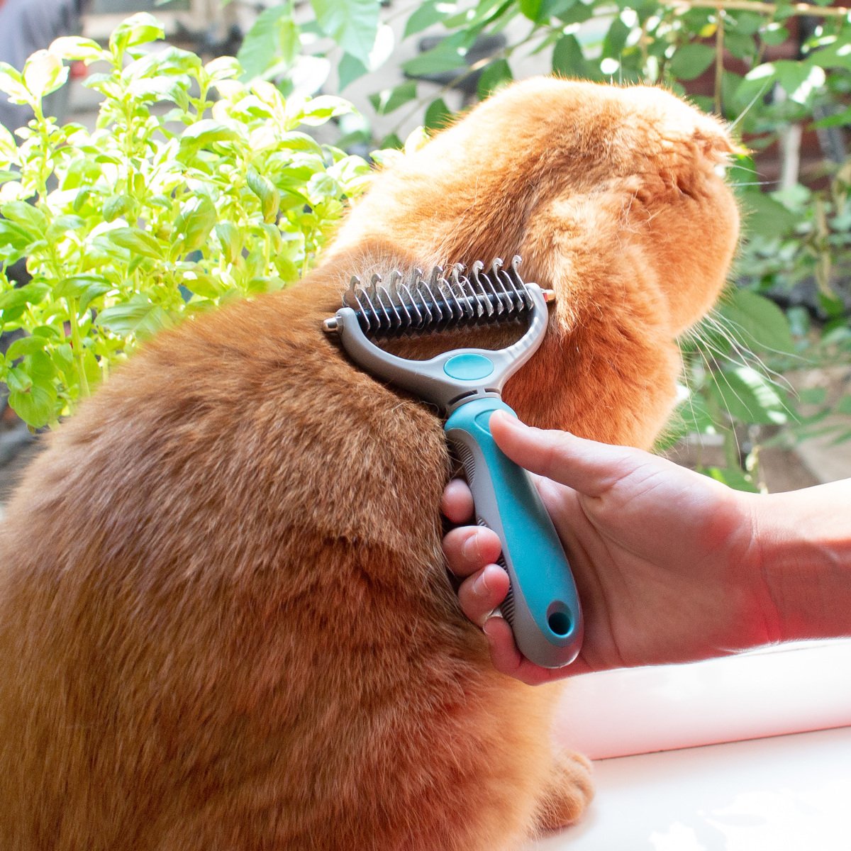 Navaris Cepillo para Capa Inferior de Pelo en Perros y Gatos - Peine Capa Interior de Pelaje Largo y Corto - Cepillo Corta-Nudos para Piel Sensible