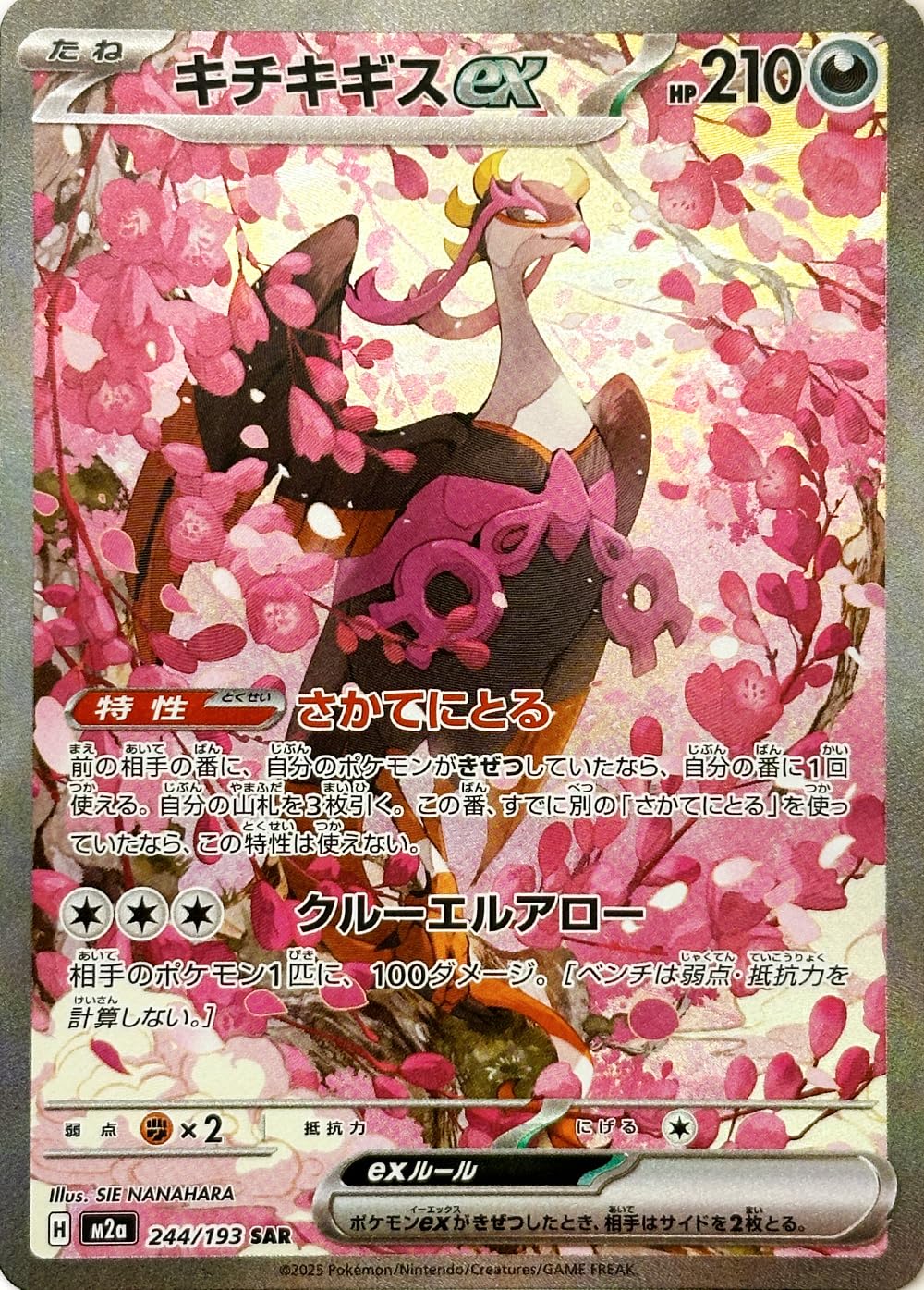 Amazon.co.jp: キチキギスex SAR（ポケカ メガシリーズ MEGAドリームex