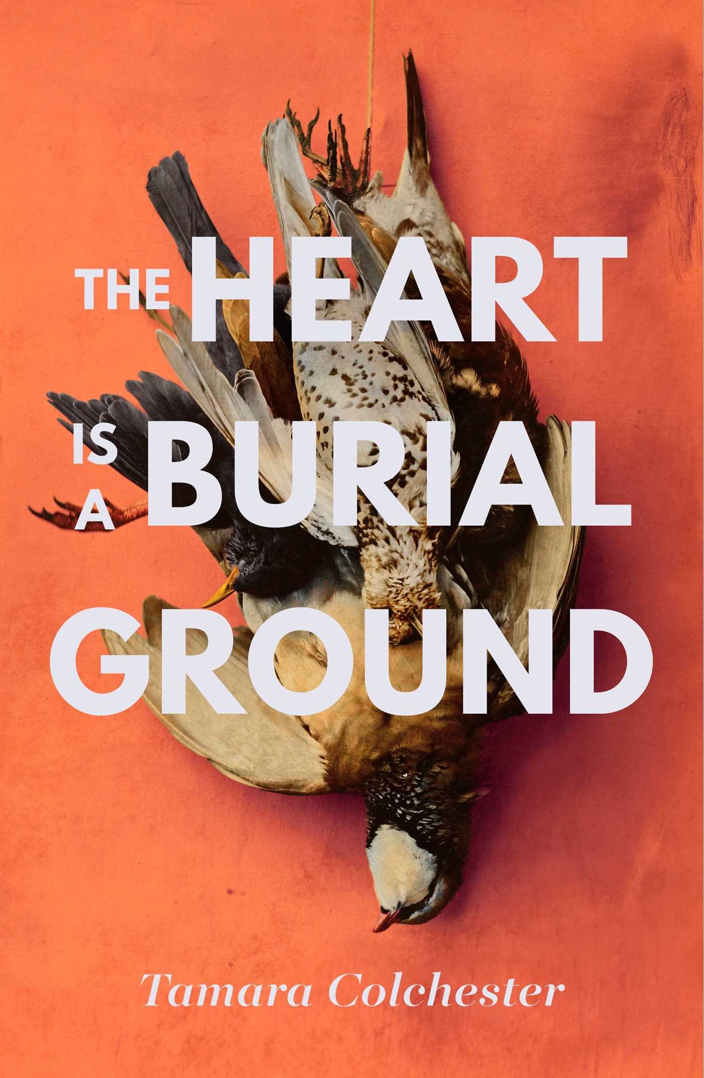 Buy Heart Is a Burial Ground — BookShops.in