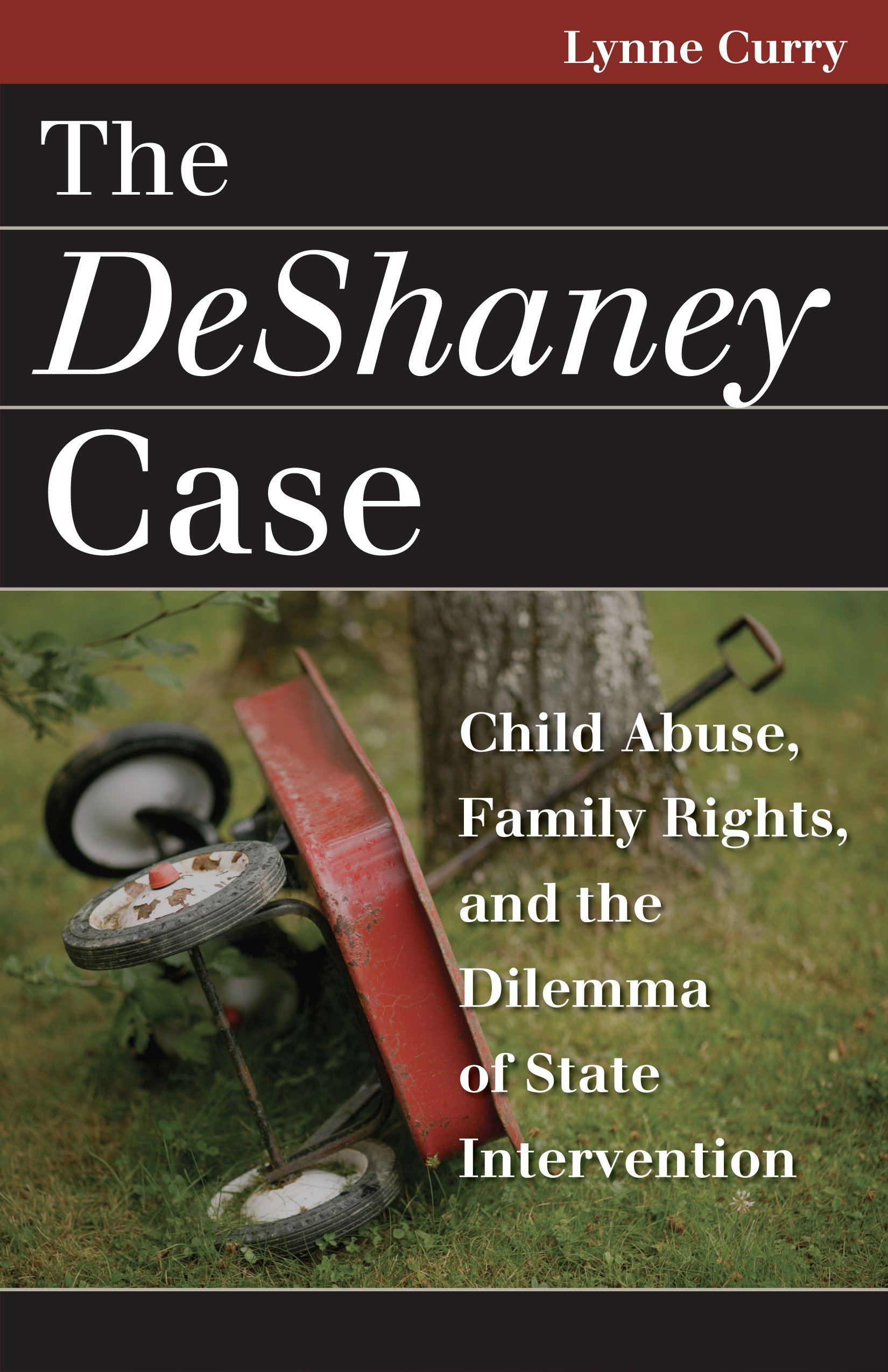 The DeShaney Case: Child Abuse, Family Rights, and the Dilemma of State Intervention (Landmark Law Cases and American Society)
