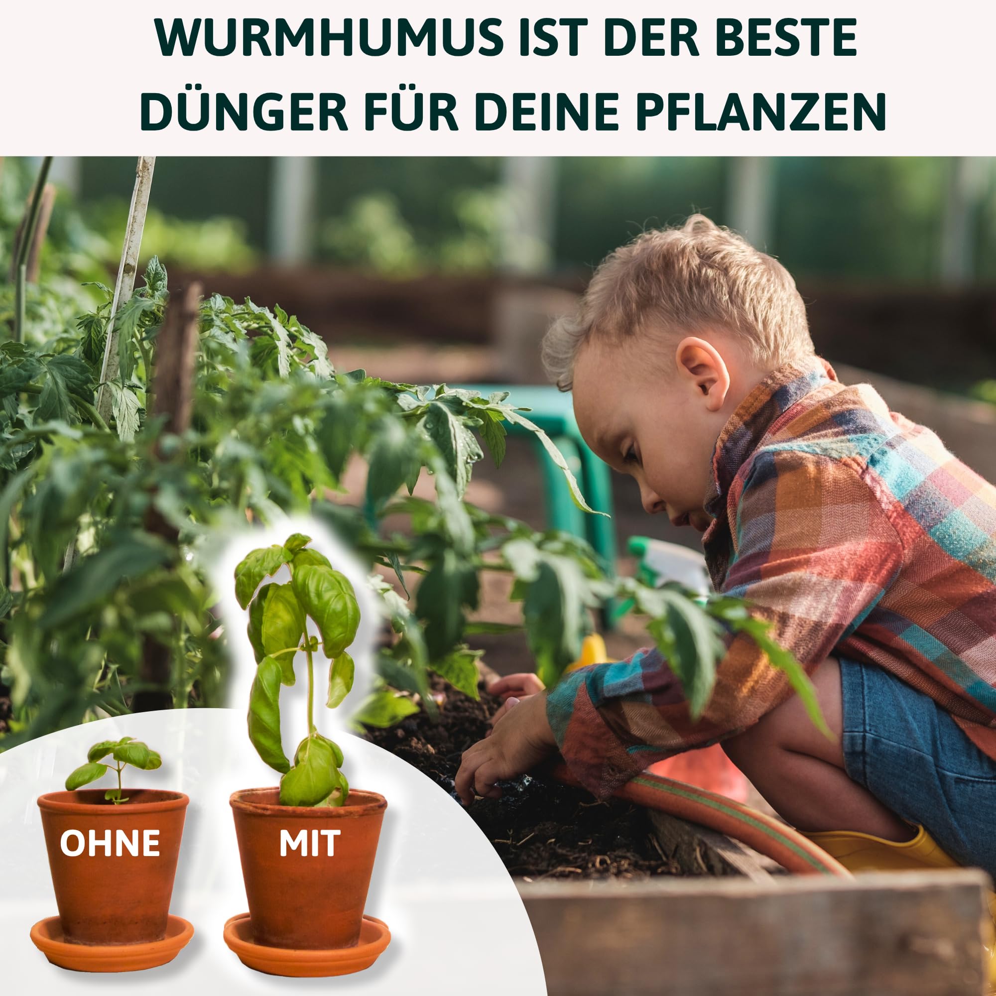 Mini Wurmkomposter aus Holz | kleine Wurmkiste als Selbstbauset