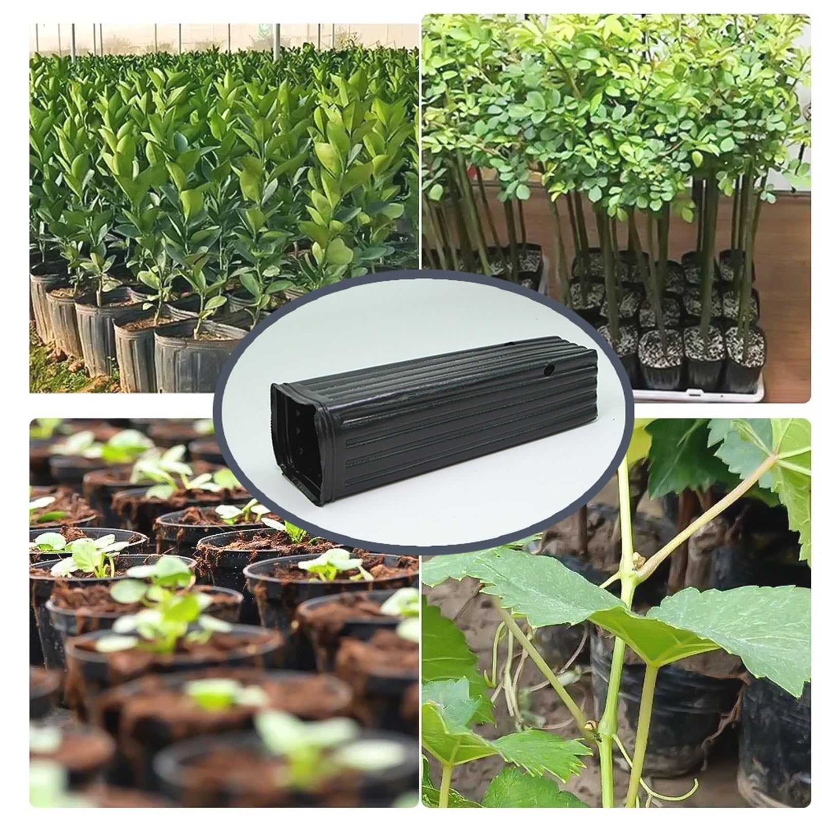 Hoher Blumentopf mit Entwässerungslöchern, 20,3 cm, 20 Stück, Baumzuchtbehälter für den Innen- und Außenbereich, ideal für Pflanzenzucht