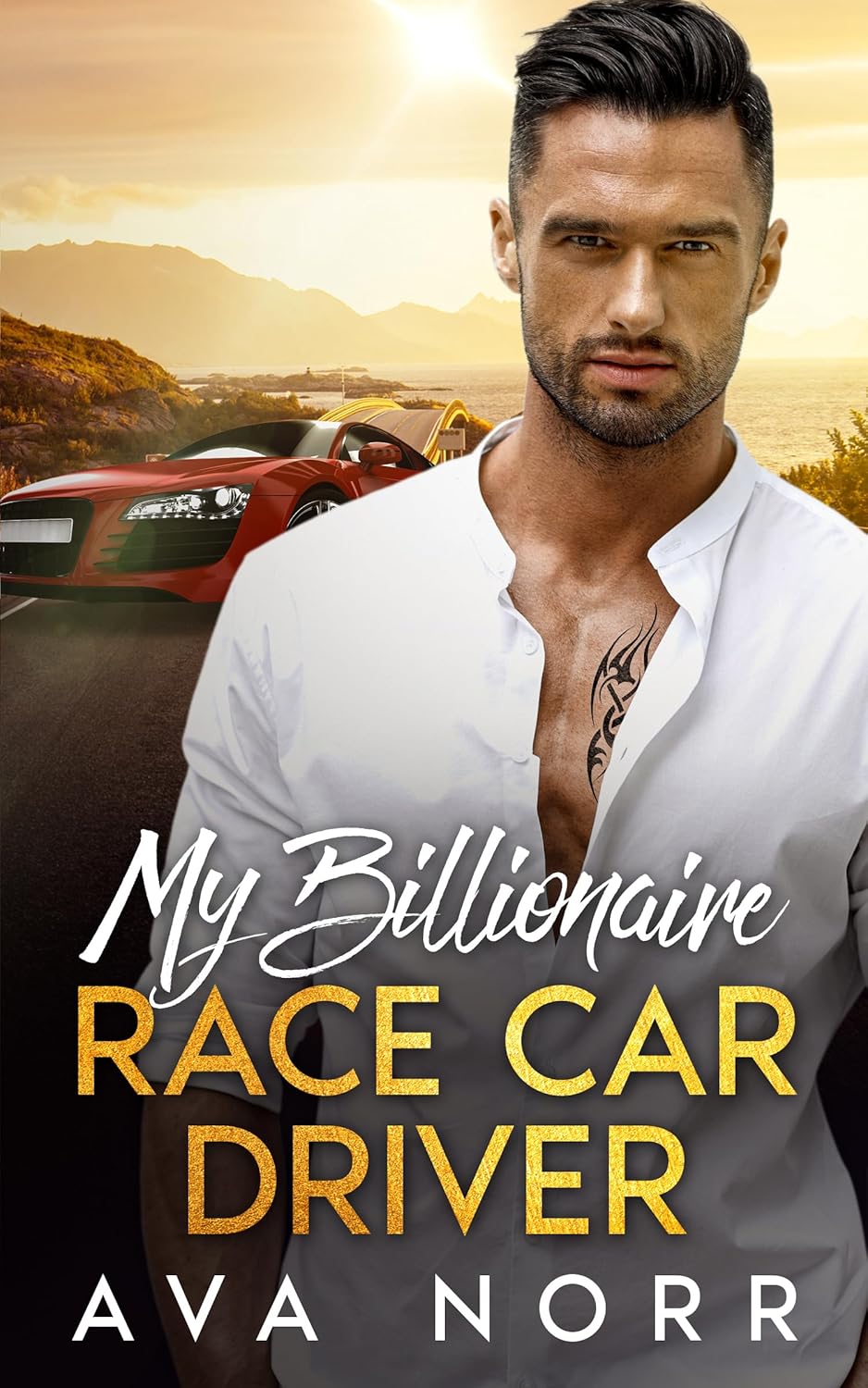 My Billionaire Race Car Driver An Enemies to Lovers