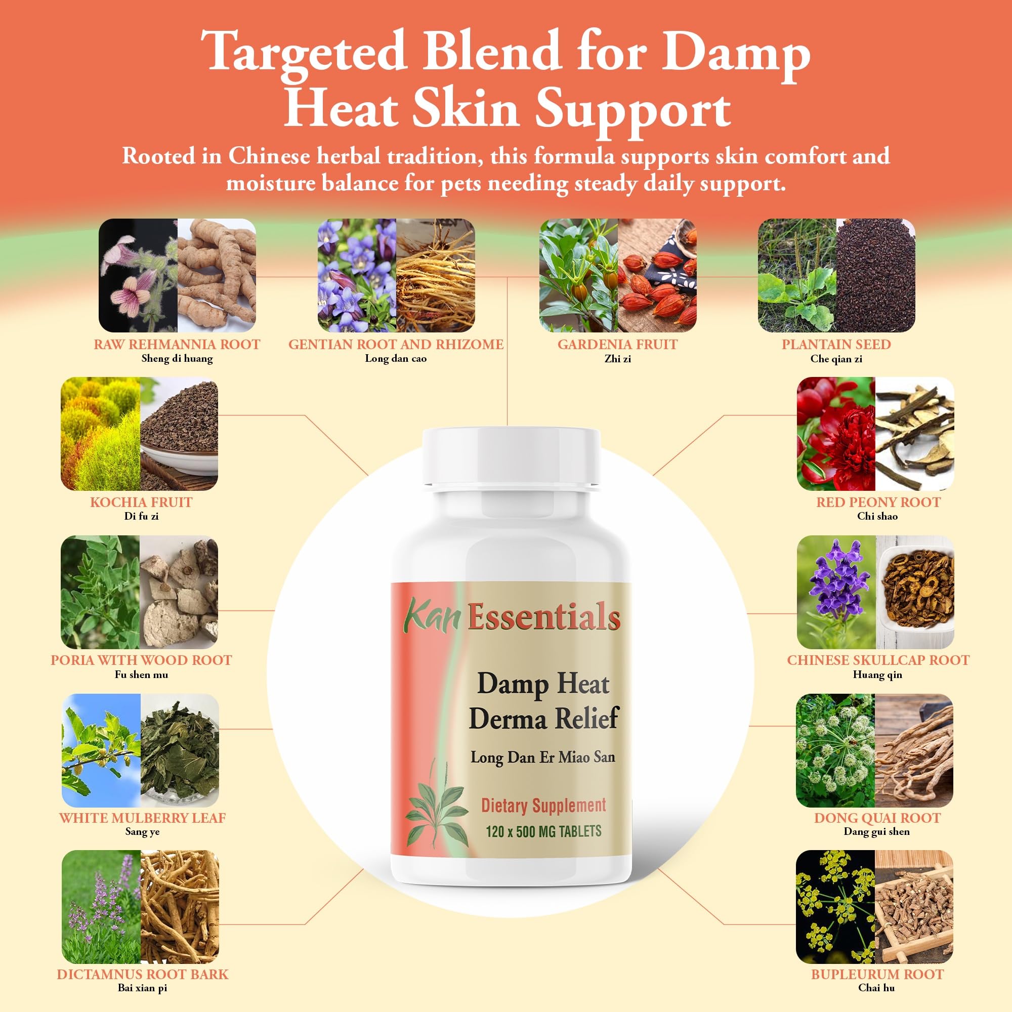 Damp Heat Derma Relief (Vet) 60 Tablets — Amazon image 4