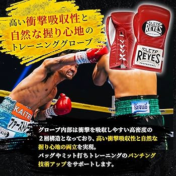 レイジェス　セーフテック　10オンス レイジェス(reyes) 耐久性の高い公式用グローブ【セーフテック