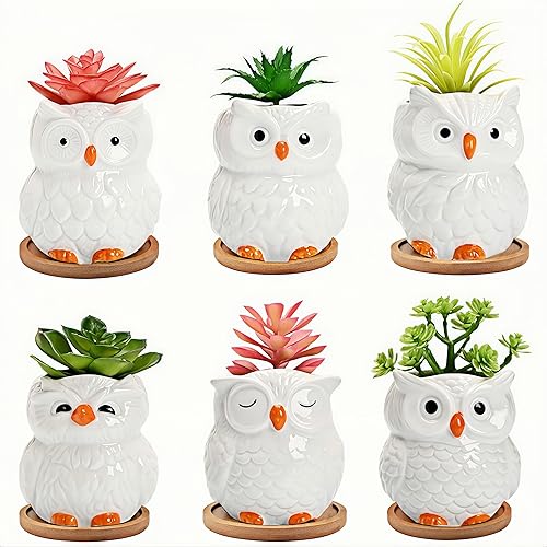Miniatura 2 de Lindas macetas de cerámica para suculentas de búho, maceta con drenaje y platillo adjunto, juego de 6, escritorio y decoración del hogar, plantas no
