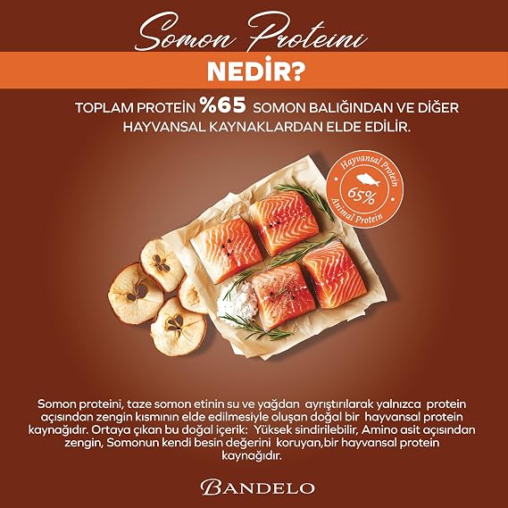 Kısırlaştırılmış Somonlu Yetişkin Kuru Kedi Maması 750 Gram - Vitamin İlaveli Tam ve Dengeli Kilo Kontrolü, Yüksek Hayvansal Protein İçerikli Kuru Mama