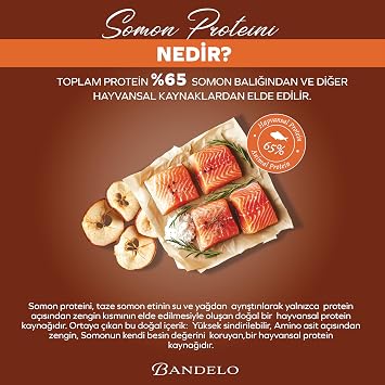 Kısırlaştırılmış Somonlu Yetişkin Kuru Kedi Maması 750 Gram - Vitamin İlaveli Tam ve Dengeli Kilo Kontrolü, Yüksek Hayvansal Protein İçerikli Kuru Mama