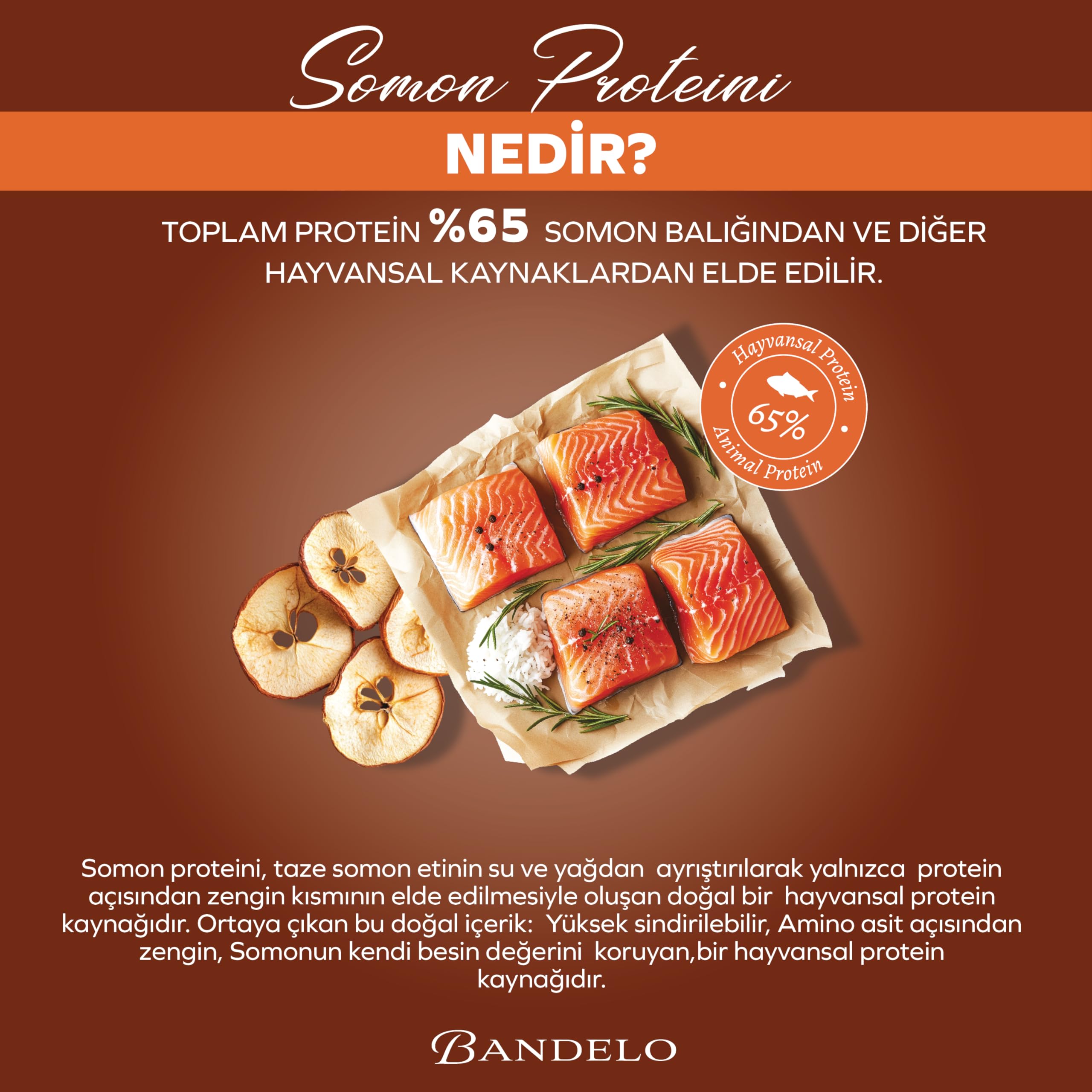 Bandelo Kısırlaştırılmış Somonlu Yetişkin Kuru Kedi Maması 2 Kg - Vitamin İlaveli Tam ve Dengeli Kilo Kontrolü, Yüksek Hayvansal Protein İçerikli Kuru Mama