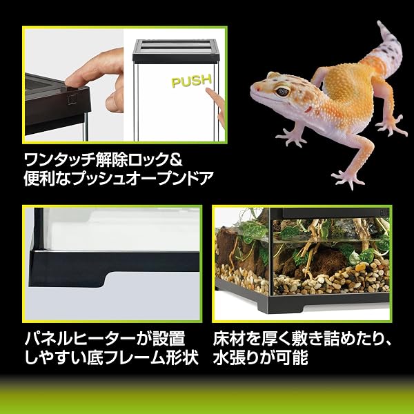 エキゾテラ EXOTERRA グラステラリウムPRO3030 PT4400 組立不要 フロントドア 爬虫類飼育ケージ レオパ(ヒョウモントカゲモドキ)・ニシアフ等に W31×D31×H31.8cm - 5