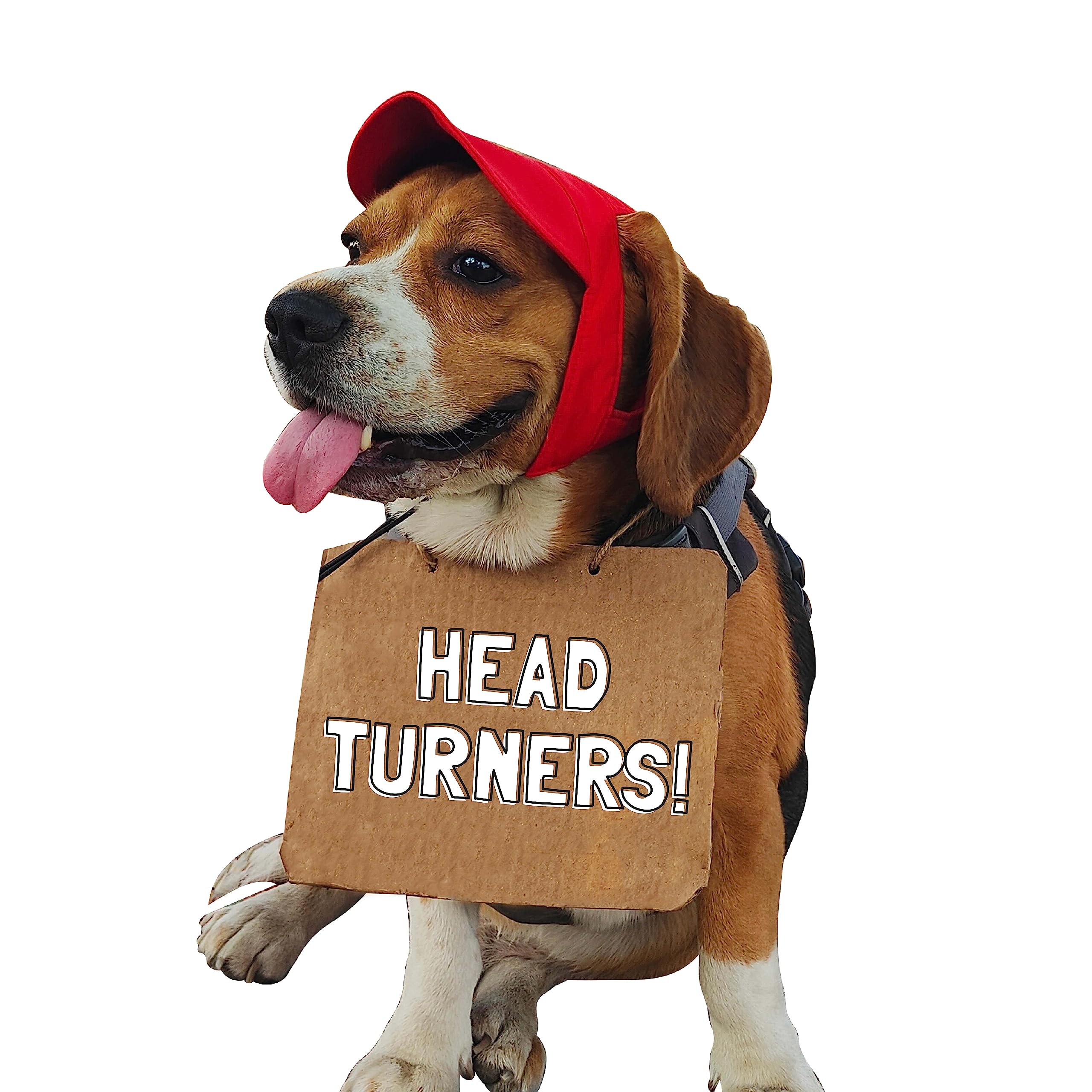 Baseball Cap with Neck Strap for Dogs by Go Bandanas (M, Red 