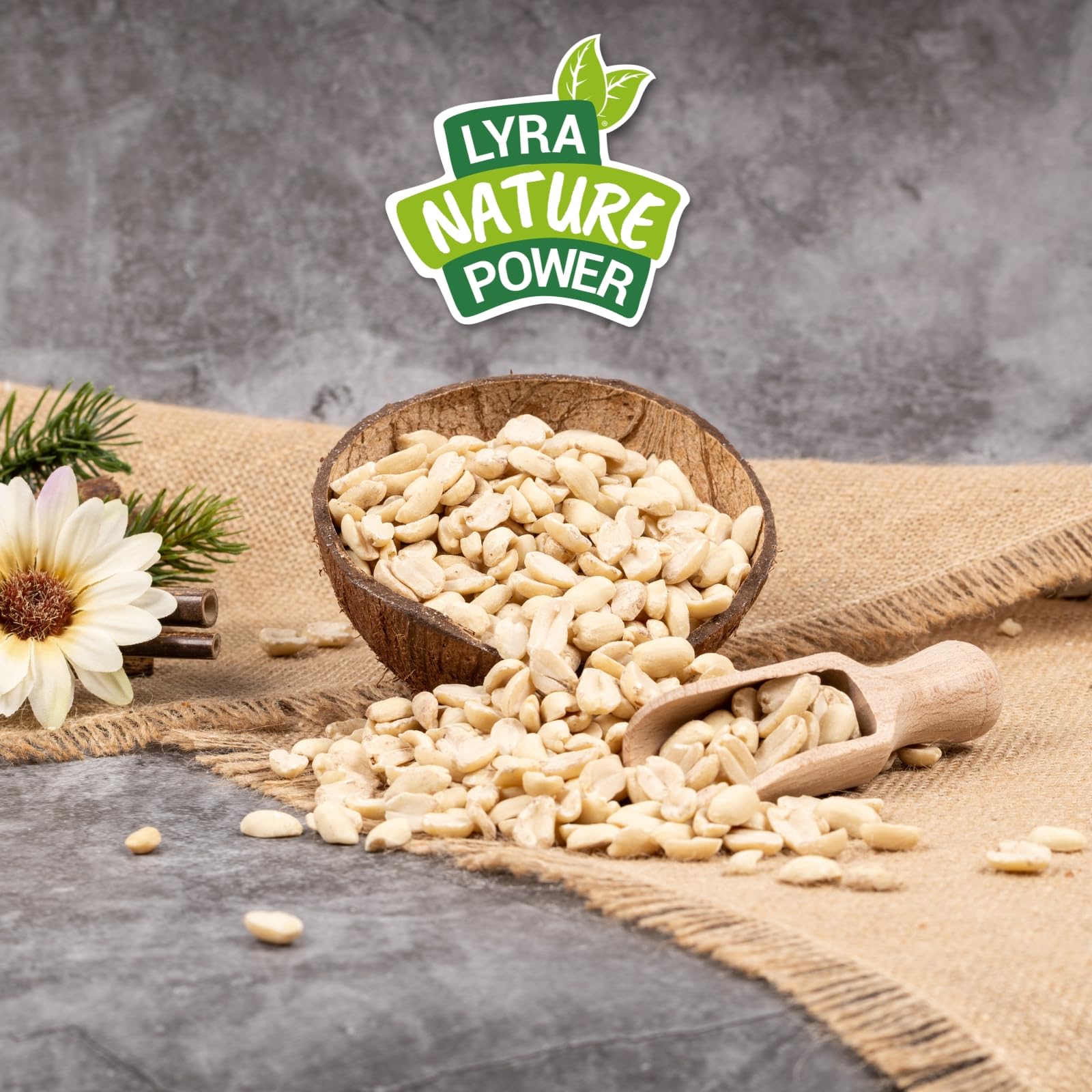 Graines de cacahuètes Demi-blanchies 25 kg Nourriture pour Oiseaux Sauvages sans Coque Source d'énergie