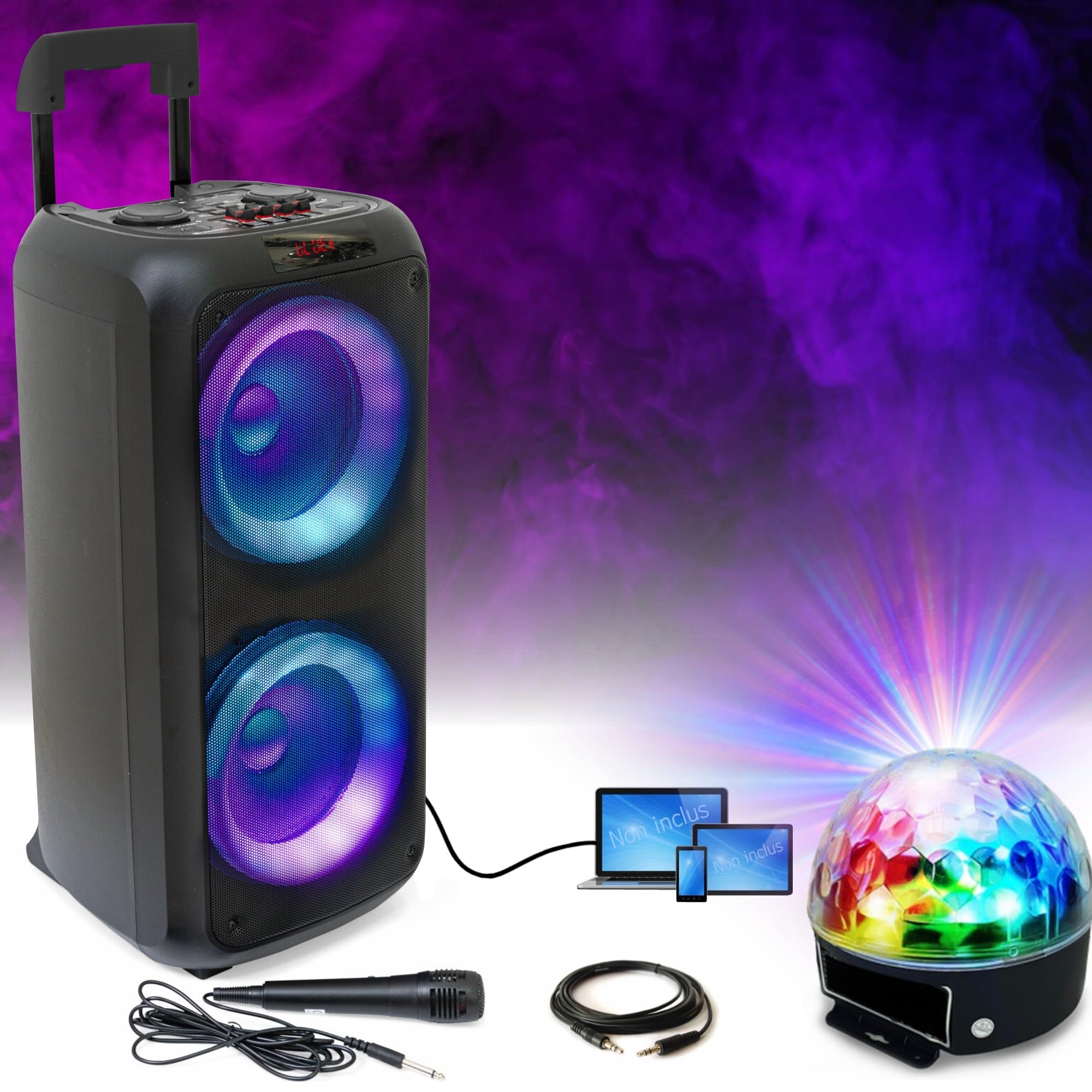 Ibiza - Pack Karaoké Enceinte VENUS600 Bluetooth TWS 600W sur Batterie USB AUX SD TWS - Effet Lumière Astro Cadeau Anniversaire Enfant Musique Boum
