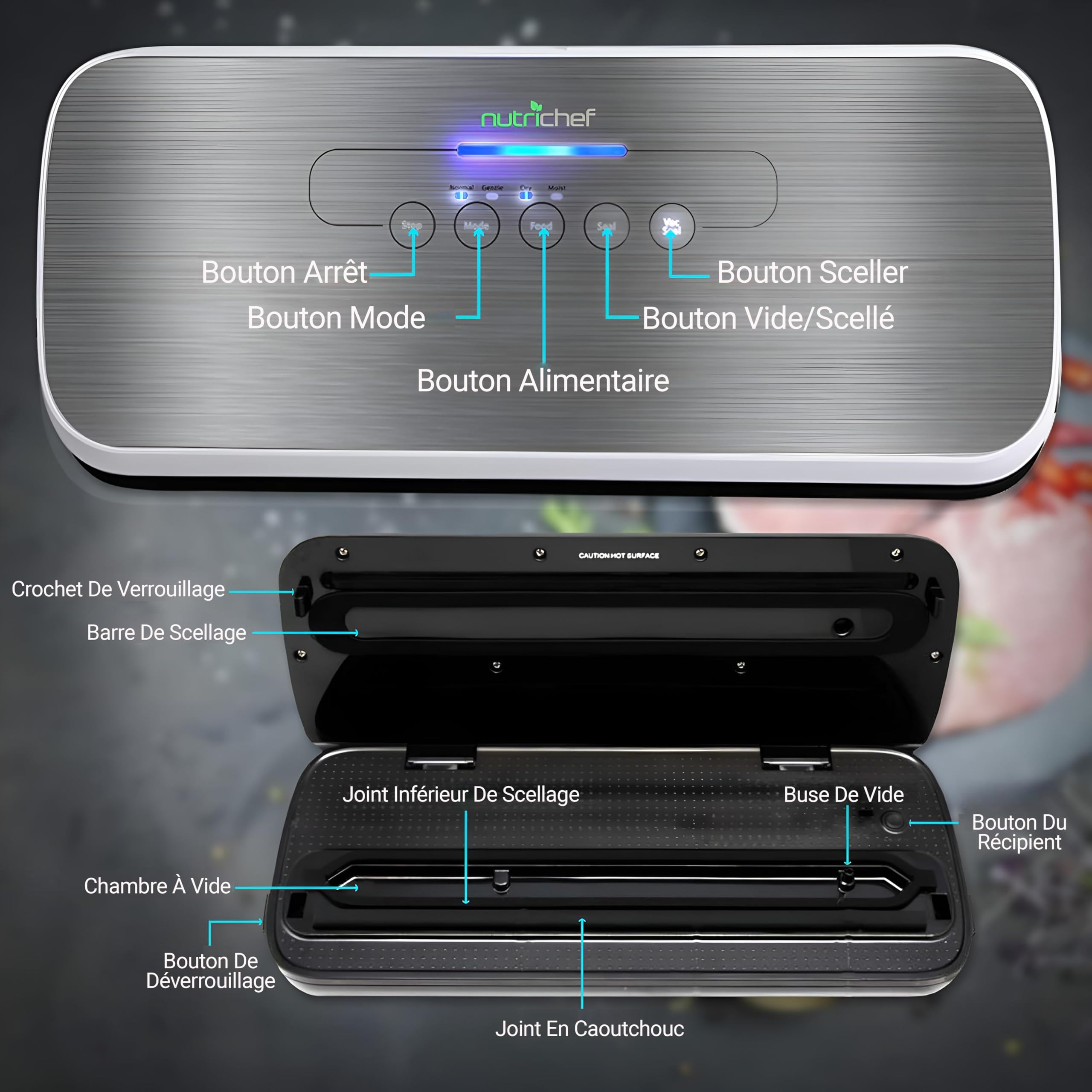 NutriChef Machine à Sceller Sous Vide - Système de Scellage Automatique pour Aliments Secs et Humides, Commandes Tactiles LED, Inclut des Sacs de Vide, un Tuyau et un Bouchon - Argenté