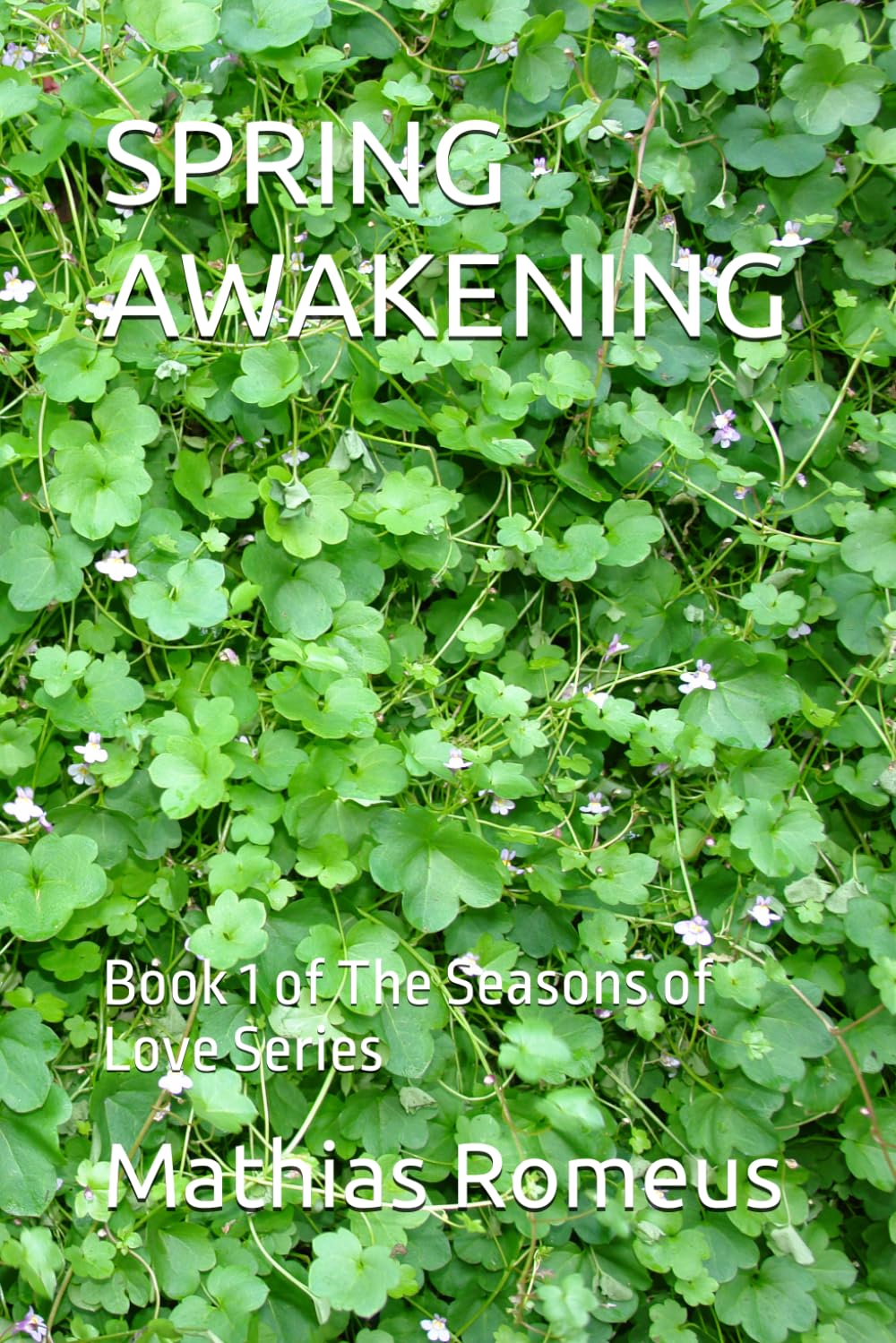 SPRING AWAKENING: Book 1 of The Seasons of Love Series