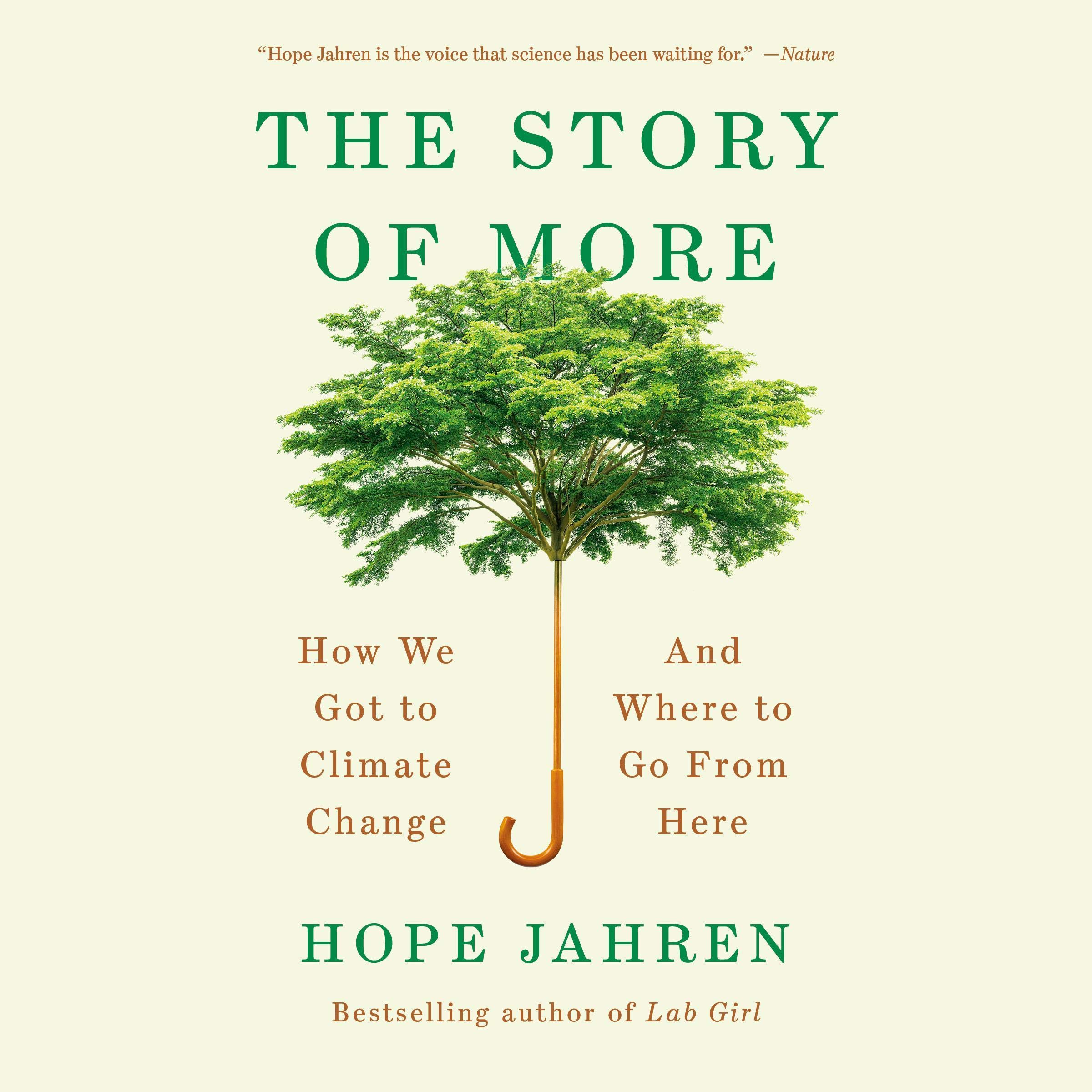 Cover art for The Story of More
