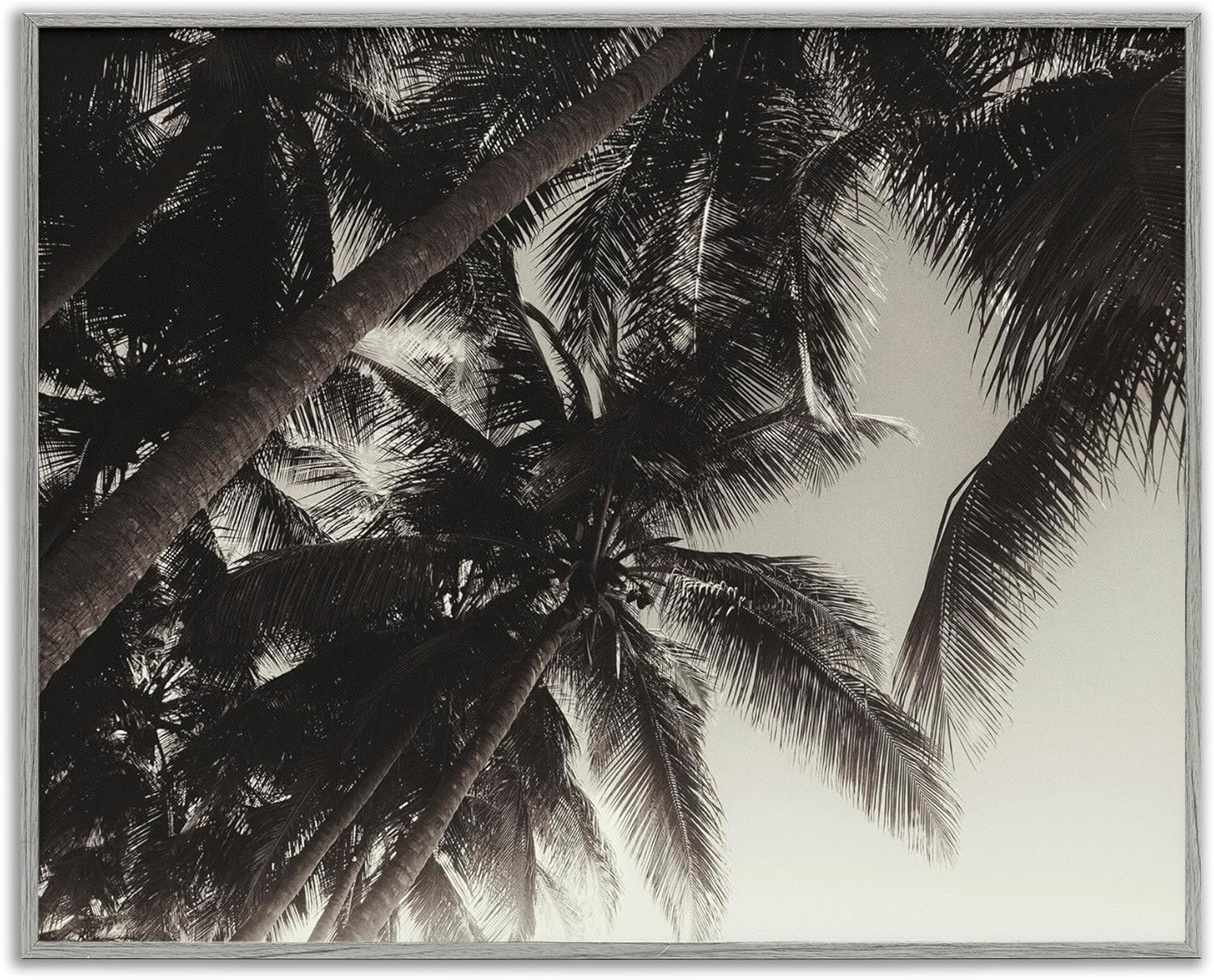 Stupell Industries Dark Palm Leaves Framed Giclee Art Design by Acosta