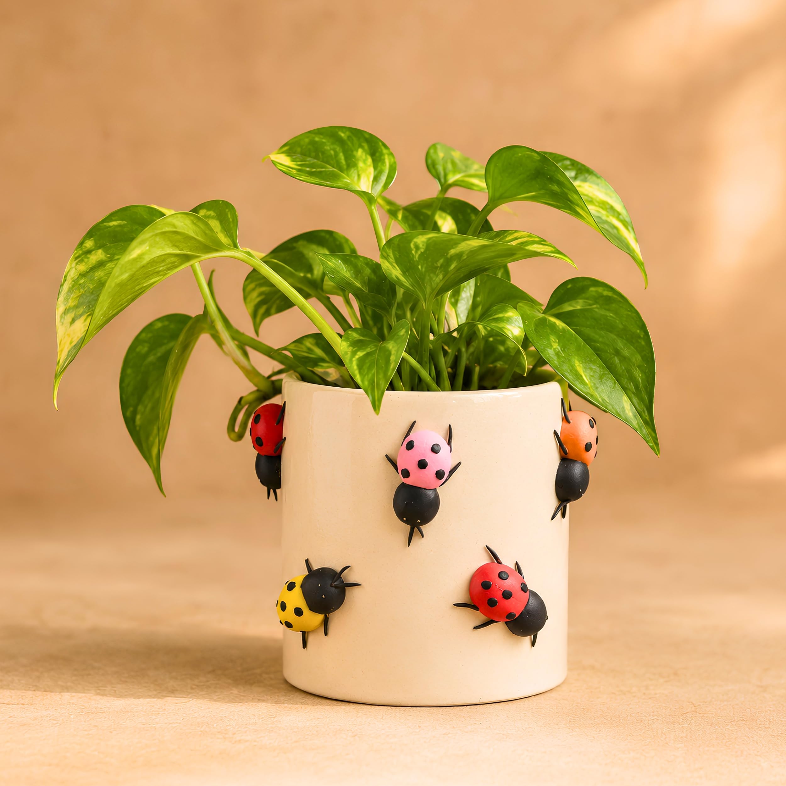 Handmade Ceramic Ladybug Planter Pot | 3D Embossed Ladybird Succulent Plant Holder, Decorative Indoor Flower Pot for Home Decor, Office Desk, Balcony, Tabletop, Garden & Gift-image-49