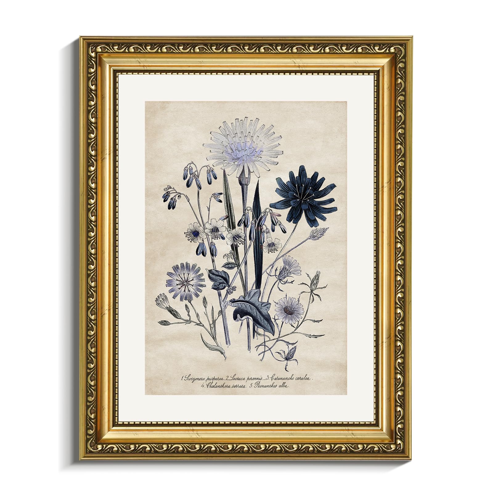 VIYYIEA Gold Framed Canvas Wall Art,Botanical Illustration — image 1