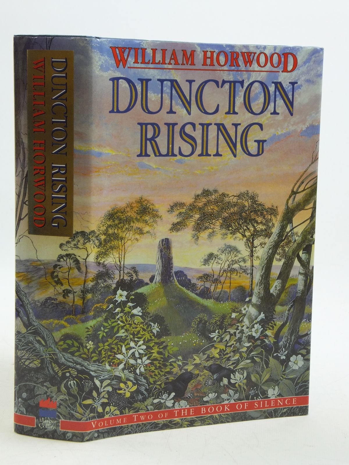 The Book of Silence, Vol. 2: Duncton Rising