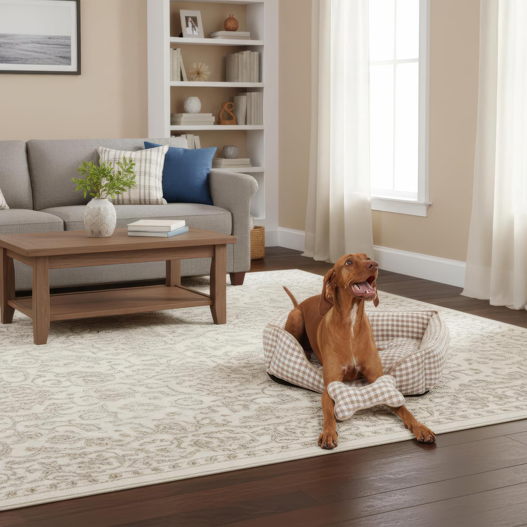 PESK Cama Perro Pequeño 57x47x15cm con Hueso de Juguete, Acolchada Relleno de Fibras, Cama Perros Medianos Lavable, Resistente Mordeduras, Camas Perros Medianos Antideslizante, Dog Bed (Beige Talla S)