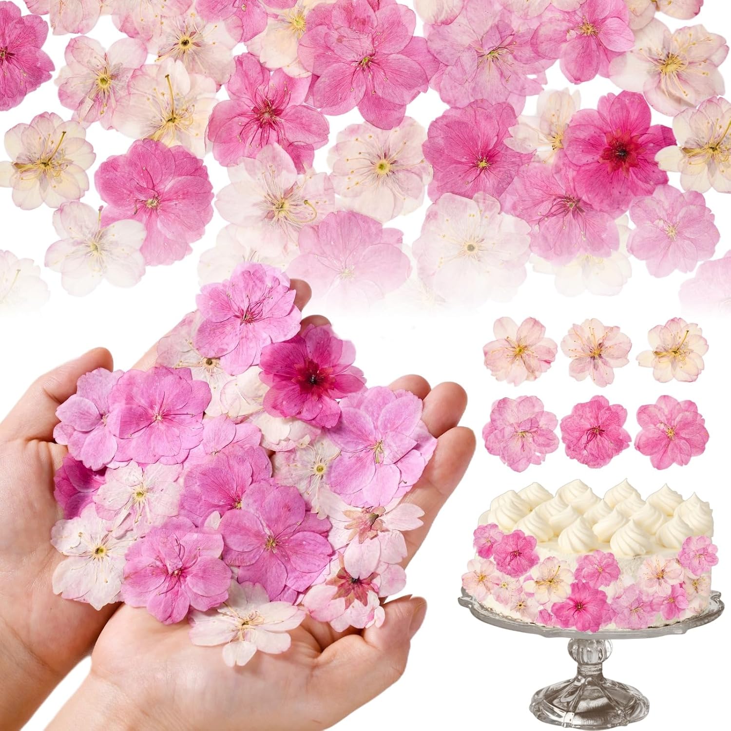 40 Uds Flores Comestibles Secas Presionadas para Decorar Pasteles