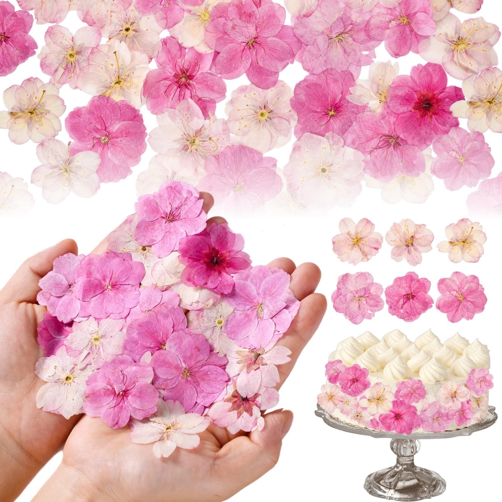 40 Pcs 2 Kinds Natural Pressed Dried Edible Flowers for Cake Topper Decoration - Pink Mix Sakura, Cherry Blossoms for Cupcake Toppers, Cocktails, Resin Jewelry, DIY Crafts