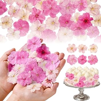 40 Pcs 2 Kinds Natural Pressed Dried Edible Flowers for Cake Topper | Pink Mix Sakura, Cherry Blossoms for Cupcake Decorations, Cocktails, Resin Jewelry, DIY Crafts
