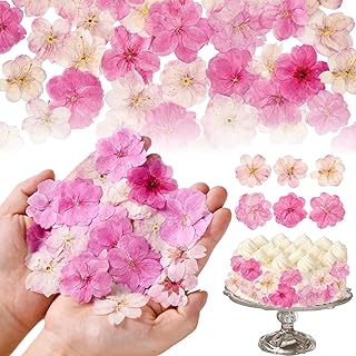 40 Pcs 2 Kinds Natural Pressed Dried Edible Flowers for Cake Topper Decoration - Pink Mix Sakura, Cherry Blossoms for Cupcake Toppers, Cocktails, Resin Jewelry, DIY Crafts