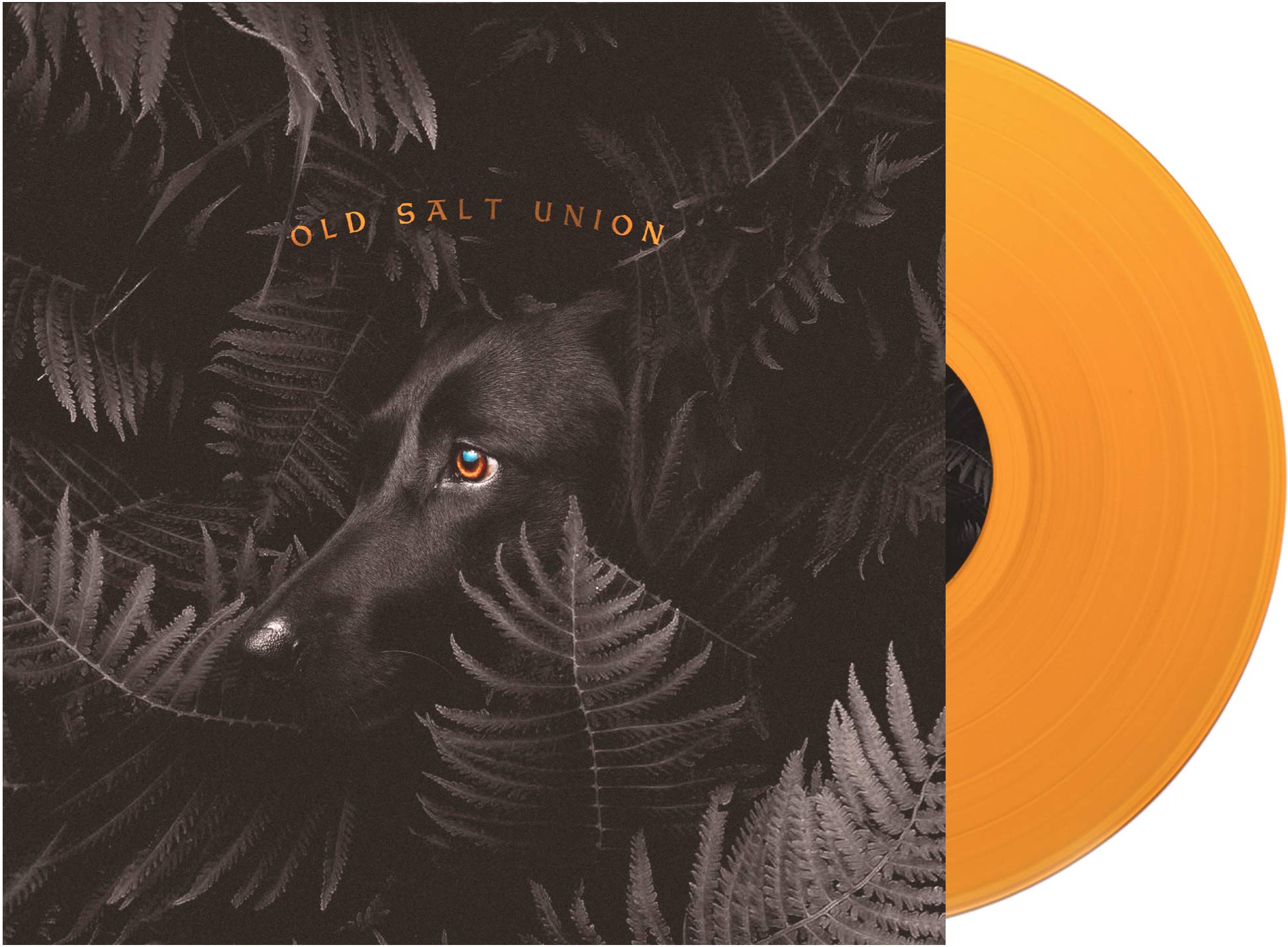 Where The Dogs Don't Bite [VINYL]