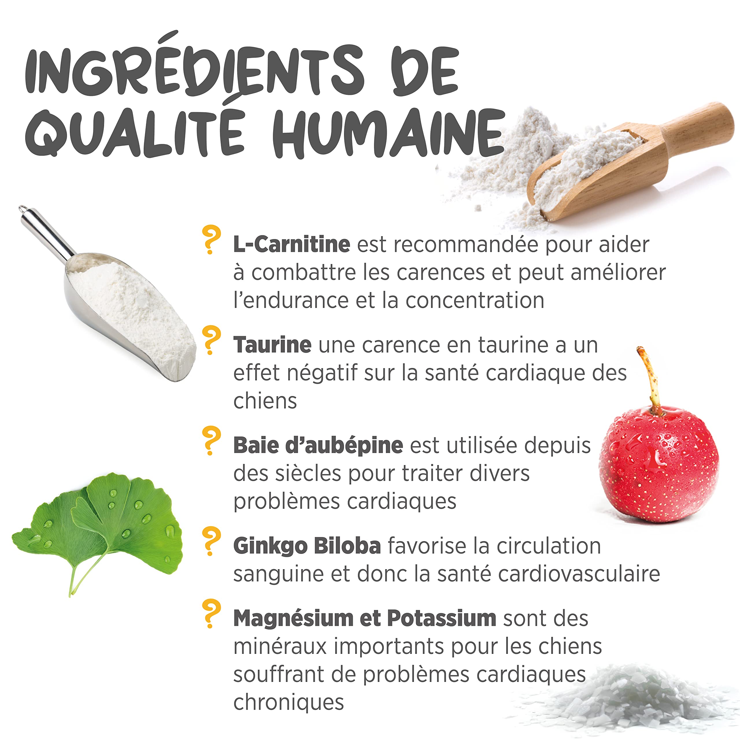 maxxipaws maxxicardio Soutien du Cœur et Cardiovasculaire - Complément Alimentaire pour Chiens, 150 g