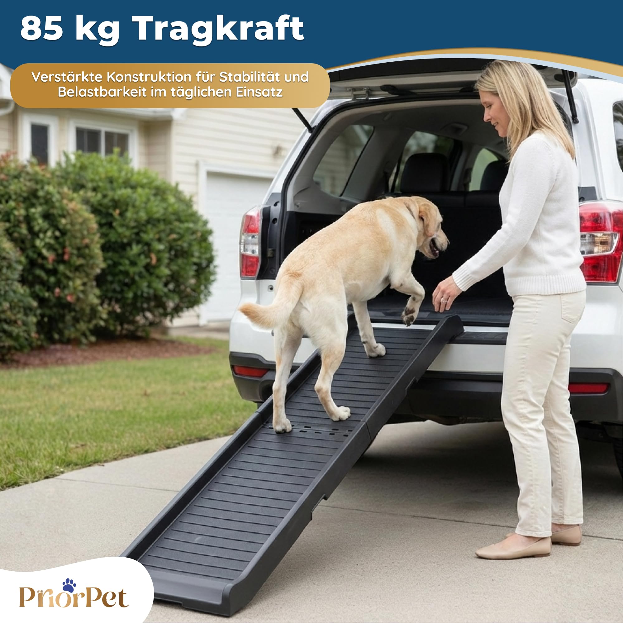 Hunderampe Auto Klappbar – 174 cm Lang & 38 cm Breit – rutschfeste Gummi Rampe für große Hunde – Stabile Hundetreppe Auto & SUV - 85kg Belastbarkeit – Klappbare Hundeleiter Auto – Schwarz
