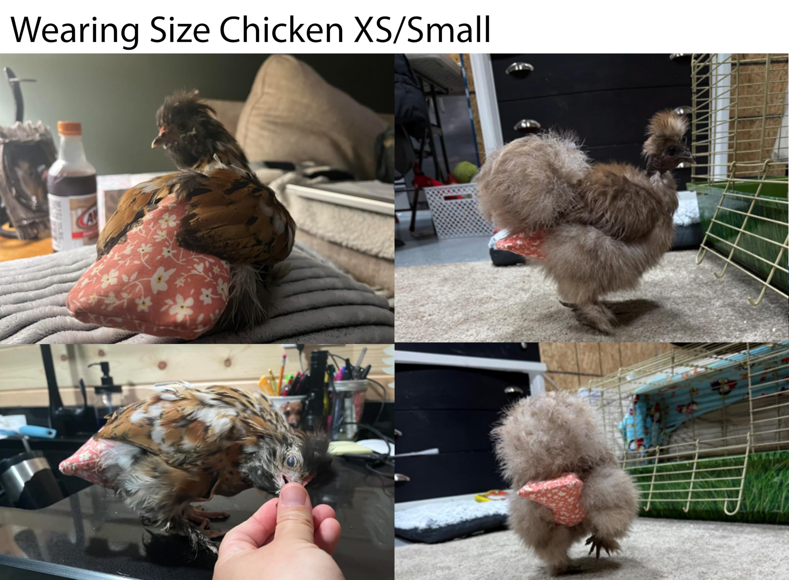 Pannolini per galline, gallo, anatroccoli, riutilizzabili, regolabili, taglia XS, S, M, L, XL, di Uni Infinity (pollo piccolo, rosso e nero)