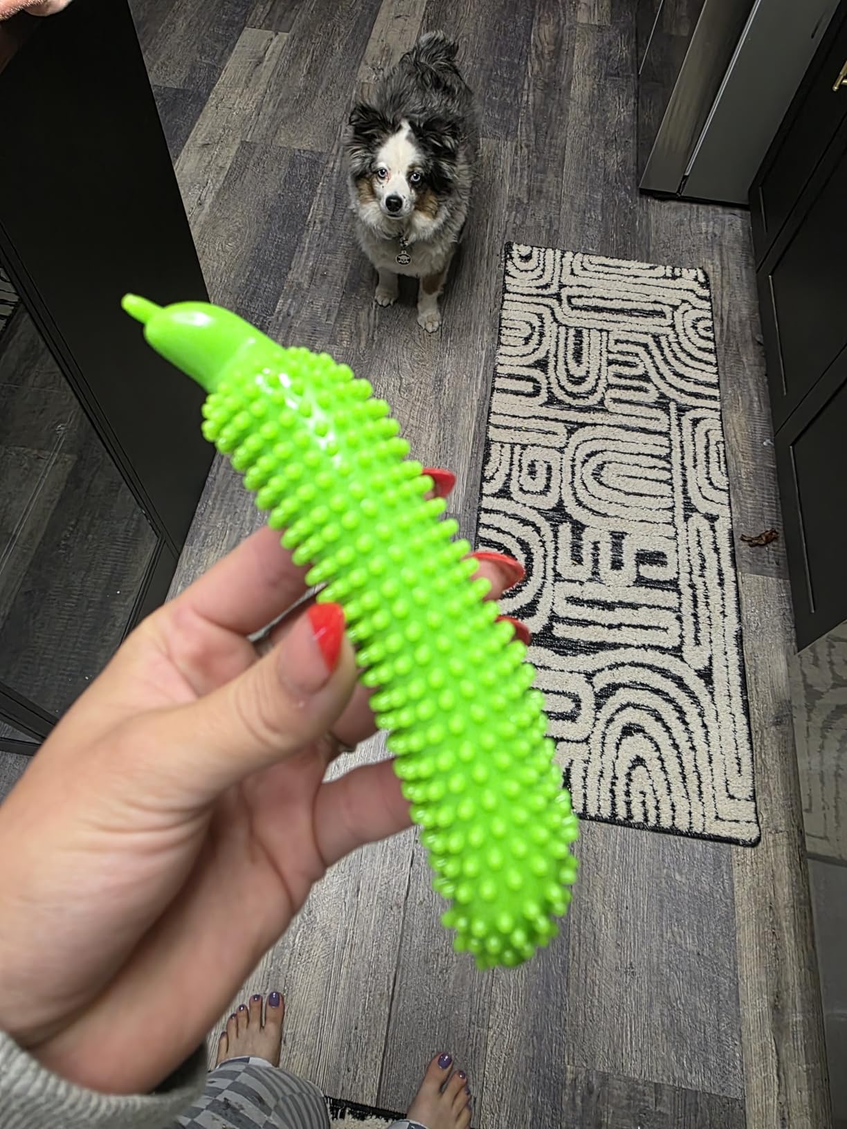 Dog Toys 25 Pack for Fun and Teeth Cleaning, Puppy Chew Toys Pack with Squeak Plush Toy,Squeaky Toy Balls,Tug of War and Rope Toys for Puppy to Small Dogs photo review