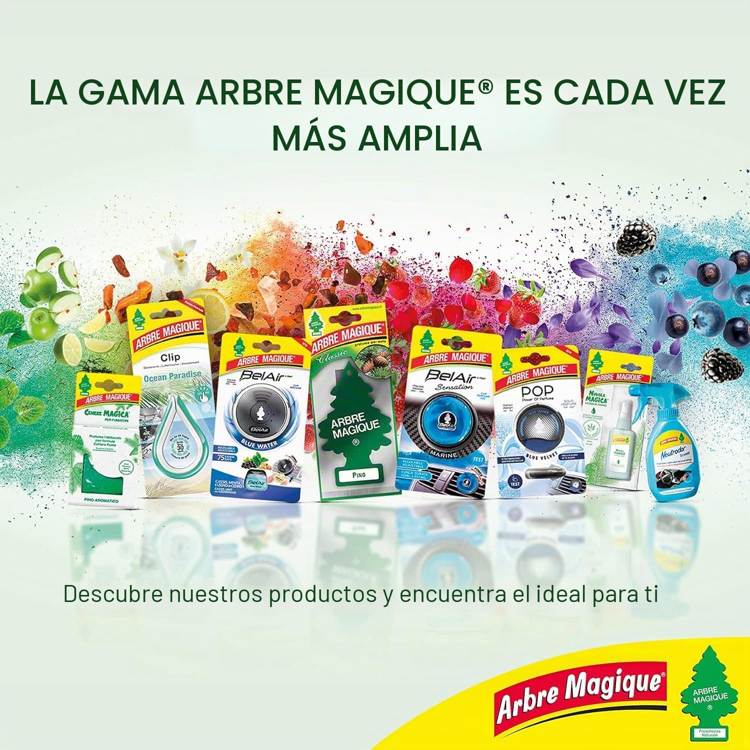 Arbre Magique, Degustación Olfativa, Ambientador para Auto, Caja de 24 Piezas Surtidas