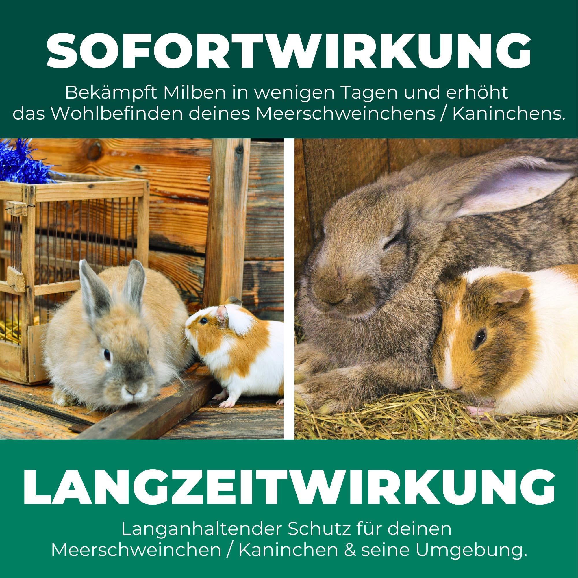 Silberkraft Milbenspray 2 L - Milbenabwehr für Hamster, Meerschweinchen & Nager - Repellent mit Geraniol - Spray für Fell & Käfig - Sofort- & Langzeiteffekt