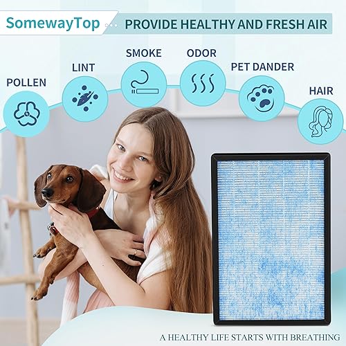 Miniatura 10 de 3 piezas Juego de filtros de repuesto HEPA de 8L compatibles con filtros purificadores de aire Okaysou Airmax de 8L, filtro Airmax de 3 etapas de