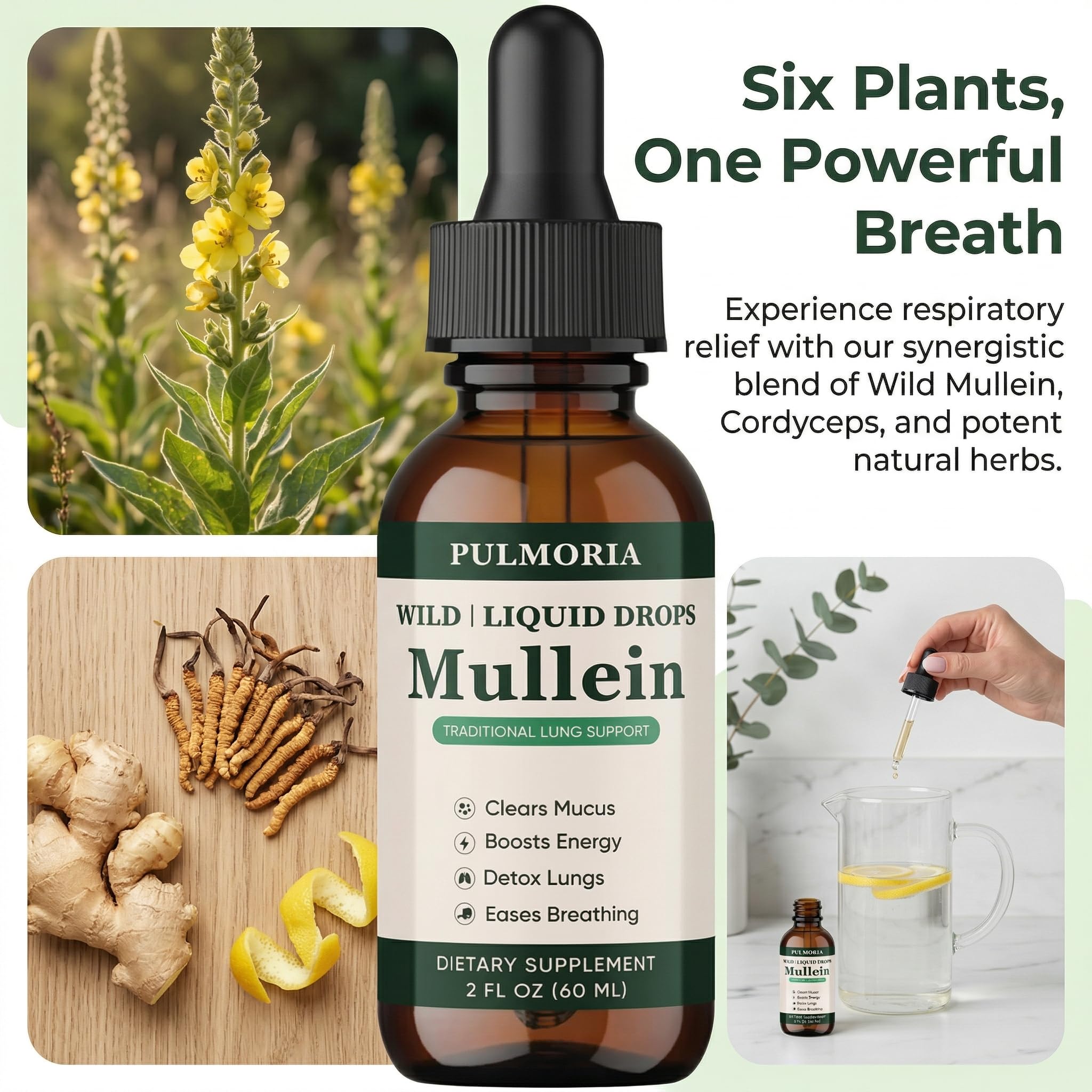 Pulmoria Wild Mullein Drops, Herbal Blend with Cordyceps, Bromelain, Ginger & Lemon Peel, Supports Seasonal Comfort & Clean Breathing – Vegan, Non-GMO, 2 Fl Oz (1) — Amazon image 3