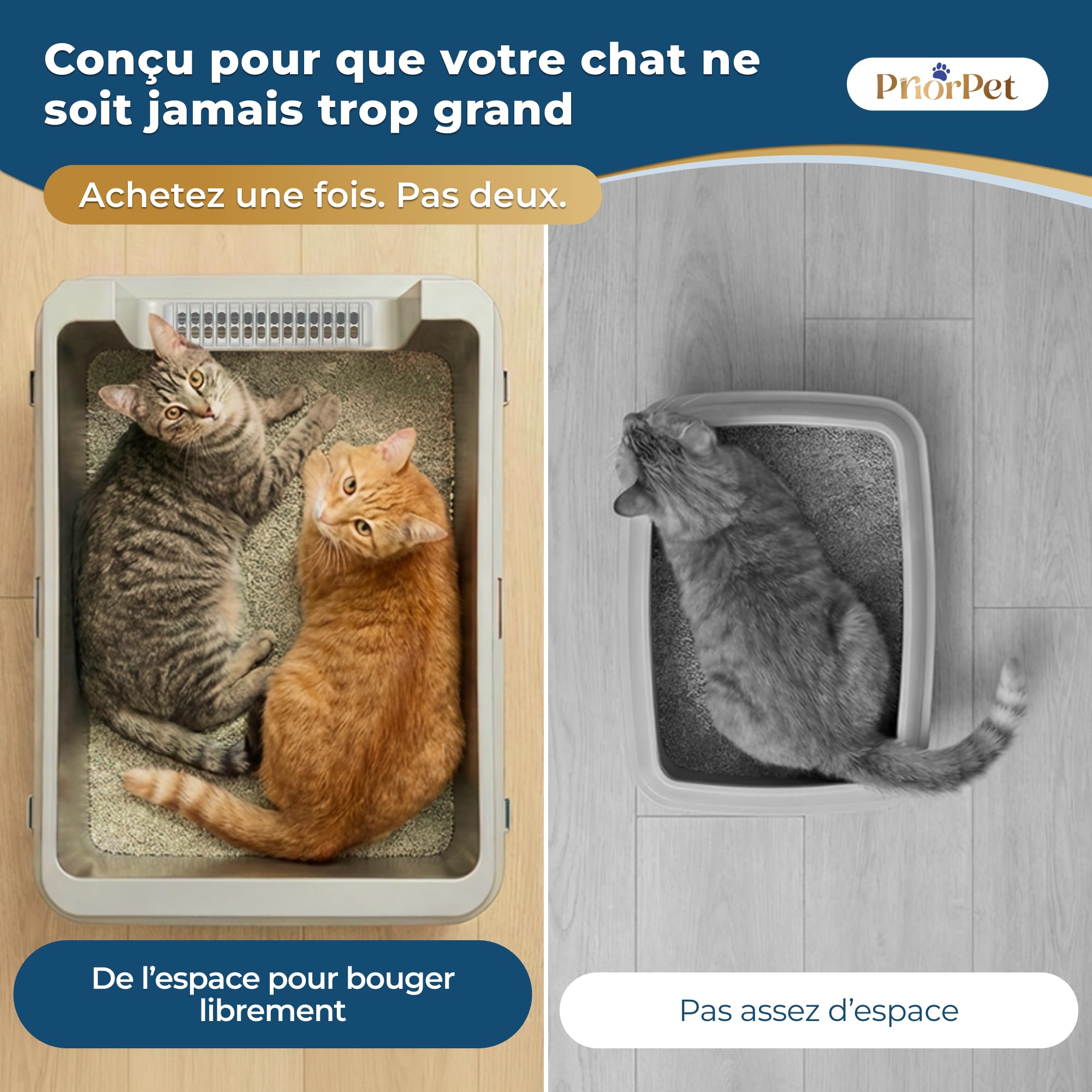 Bac litiere pour Chat INOX XXL Grand – Bac à litière pour Grands Chats & 2 Chats – Litiere Chat XXL Maine Coon – Grande litiere, Bord Haut, Anti-Fuite, Anti-Odeur – avec Pelle – 71×52×30 cm