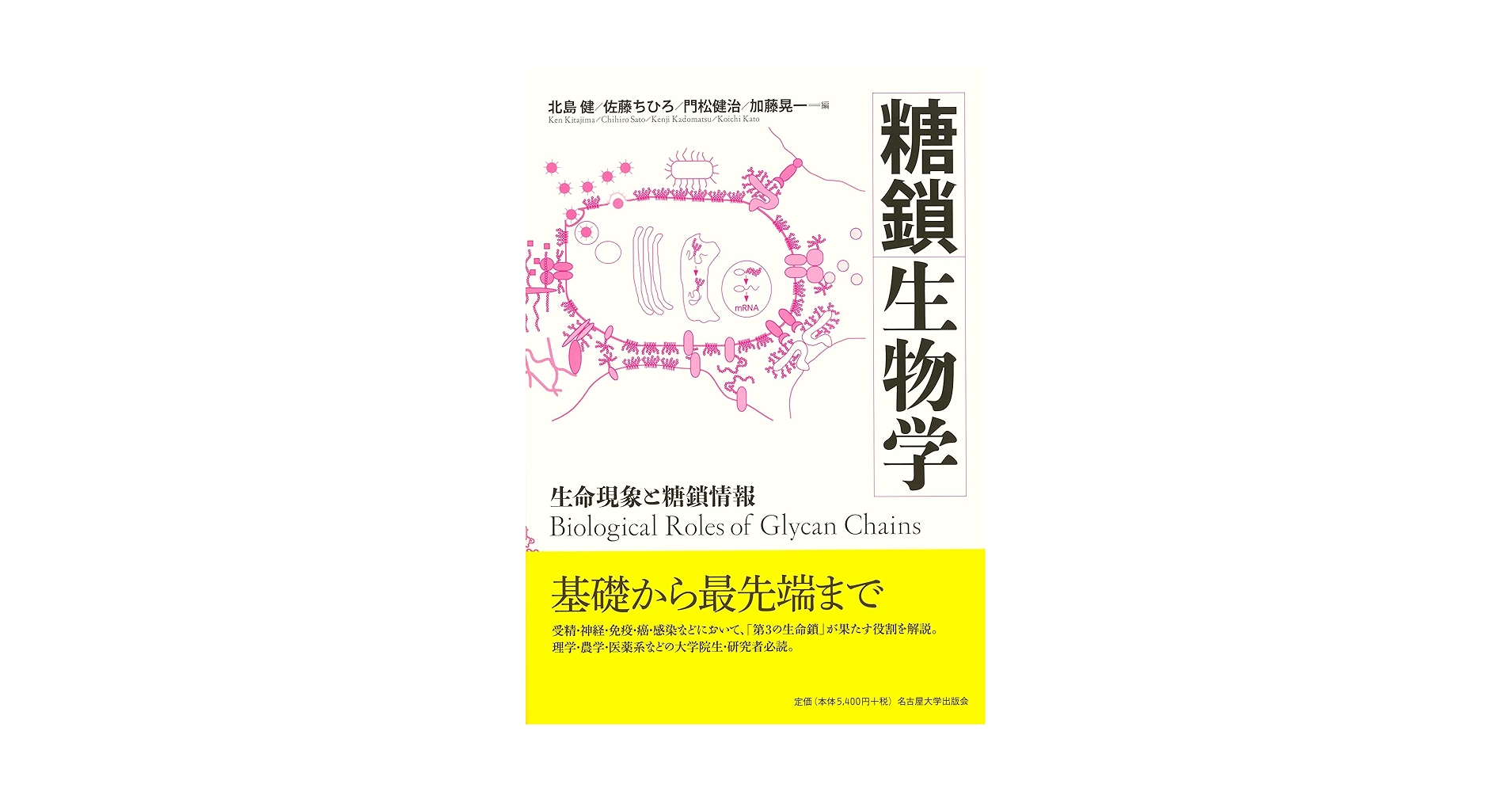糖鎖生物学―生命現象と糖鎖情報― | 北島 健, 佐藤 ちひろ, 門松